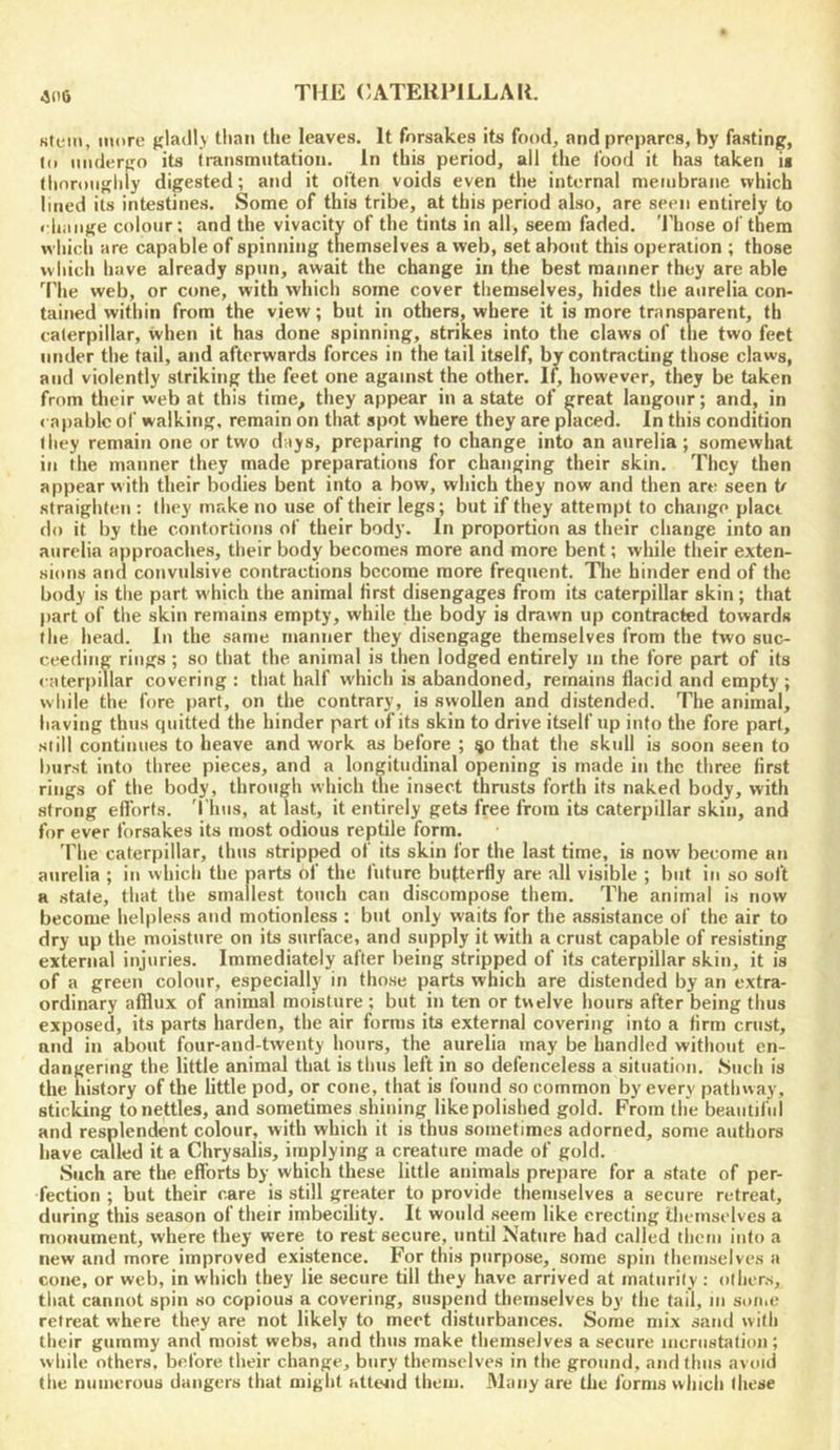 stem, more fjladly than the leaves. It forsakes its food, and prepares, by fasting, to mulergo its transmutation. In this period, all the food it has taken ii (honmgldy digested; and it often voids even the internal membrane which lined its intestines. Some of this tribe, at this period also, are seen entirely to i-haiige colour: and the vivacity of the tints in all, seem faded. 'I’hose of them which are capable of spinning themselves a web, set about this operation ; those which have already spun, await the change in the best manner they are able The web, or cone, with which some cover themselves, hides the aurelia con- tained within from the view; but in others, where it is more transparent, th caterpillar, when it has done spinning, strikes into the claws of the two feet under the tail, and afterwards forces in the tail itself, by contracting those claws, and violently striking the feet one against the other. If, however, they be taken from their web at this time^ they appear in a state of great langour; and, in < apablc of walking, remain on that spot where they are placed. In this condition they remain one or two days, preparing to change into an aurelia ; somewhat in the manner they made preparations for changing their skin. They then appear with their bodies bent into a bow, which they now and then are seen t/ straighten : they make no use of their legs; but if they attempt to change place do it by the contortions of their body. In proportion as their change into an aurelia approaches, their body becomes more and more bent; while their exten- sions and convulsive contractions become more frequent. The hinder end of the body is the part w'hich the animal first disengages from its caterpillar skin; that part of the skin remains empty, while the body is drawn up contracted towards the head. In the same manner they disengage themselves from the two suc- ceeding rings ; so that the animal is then lodged entirely in the fore part of its caterpillar covering: that half w'hich is abandoned, remains flacid and empty ; while the fore part, on the contrary, is swollen and distended. The animal, having thus quitted the hinder part of its skin to drive itself up into the fore part, still continues to heave and work as before ; 50 that the skull is soon seen to burst into three pieces, and a longitudinal opening is made in the three first rings of the body, through which the insect thrusts forth its naked body, with strong efforts. 'I'hiis, at last, it entirely gets free from its caterpillar skin, and for ever forsakes its most odious reptile form. The caterpillar, thus stripped of its skin for the last time, is now become an aurelia ; in which the parts of the future butterfly are all visible ; but in so soft a state, that the smallest touch can discompose them. The animal is now become helpless and motionless : but only waits for the assistance of the air to dry up the moisture on its surface, and supply it with a crust capable of resisting external injuries. Immediately after being stripped of its caterpillar skin, it is of a green colour, especially in those parts which are distended by an extra- ordinary afflux of animal moisture ; but in ten or twelve hours after being thus exposed, its parts harden, the air forms its external covering into a firm crust, and in about four-and-twenty hours, the aurelia may be handled without en- dangering the little animal that is thus left in so defenceless a situation. .Such is the history of the little pod, or cone, that is found so common by every pathway, sticking to nettles, and sometimes shining like polished gold. From the beautiful and resplendent colour, with which it is thus sometimes adorned, some authors have called it a Chrysalis, implying a creature made of gold. •Such are the efforts by which these little animals prepare for a state of per- fection ; but their care is still greater to provide themselves a secure retreat, during this season of their imbecility. It would seem like erecting themselves a monument, where they were to rest secure, until Nature had called them into a new and more improved existence. For this purpose, some spin themselves a cone, or web, in which they lie secure till they have arrived at maturity : others, that cannot spin so copious a covering, suspend themselves by the tail, m some retreat where they are not likely to meet disturbances. Some mix sand with their gummy and moist webs, and thus make themselves a secure incrustation; while others, before their change, bury themselves in the ground, and thus avoid the numerous dangers that might attend them. Many are the forms which these