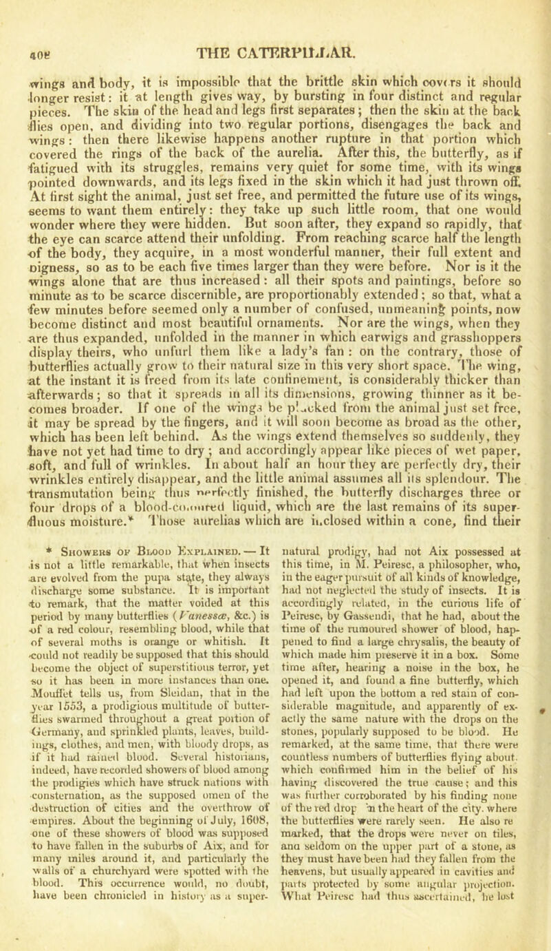ftOt? wings an«l body, it is impossiblo that the brittle skin which oov< rs it should •longer resist: it st length gives way, by bursting in four distinct and regular pieces. The skin of the head and legs first separates; then the skin at the back •flies open, and dividing into two regular portions, disengages the back and wings : then there likewise happens another rupture in that portion which covered the rings of the back of the aurelia. After this, the butterfly, as if fatigued with its struggles, remains very quiet for some time, with its wings pointed downwards, and its legs fixed in the skin which it had just thrown off. At first sight the animal, just set free, and permitted the future use of its wings, seems to want them entirely: they take up such little room, that one wojild wonder where they were hidden. But soon after, they expand so rapidly, that the eye can scarce attend their unfolding. From reaching scarce half the length •of the body, they acquire, in a most wonderful manner, their full extent and oigness, so as to be each five times larger than they were before. Nor is it the wings alone that are thus increased : all their spots and paintings, before so minute as to be scarce discernible, are proportionably extended; so that, what a few minutes before seemed only a number of confused, unmeaning points, now become distinct and most beautiful ornaments. Nor are the wings, when they are thus expanded, unfolded in the manner in which earwigs and grasshoppers display theirs, who unfurl them like a lady’s fan : on the contrary, those of butterflies actually grow to their natural size in this very short space. 'I’he wing, at the instant it is freed from its late confinement, is considerably thicker than afterwards; so that it spreads in all its dimensions, growing thinner as it be- comes broader. If one of the wing.i be pl..cked from the animal just set free, it may be spread by the fingers, and it will soon becoitie as broad as the other, which has been left behind. As the wings extend themselves so suddenly, they have not yet had time to dry ; and accordingly appear like pieces of wet paper, soft, and full of wrinkles. In about half an hour they are perfectly dry, their wrinkles entirely disappear, and the little animal assumes all its splendour. The transmutation being tlms n»-rfectly finished, the butterfly discharges three or four drops of a blood-co.mired liquid, which are the last remains of its super- fluous moisture.” Those aurelias which are inclosed within a cone, find their * SnowEKs ov Bi/ooi) Explained. — It is not a little remarkable, that when insects •are evolved from the pupa st^te, they always discharge some substance. It is important <to remark, that the matter voided at this period by many butterflies ( Vanessee, &c.) is •of a red colour, resembling blood, while that of several moths is orange or whitish. It •could not readily be supposed that this should become the object of superstitious terror, yet so it has been in more instances than one. •Mouflet tells us, from Sleidun, that in the year 1553, a prodigious multitude of butter- flies swarmed throughout a great poition of Germany, and sprinkled plants, leaves, build- ings, clothes, and men, with bloody drops, as if it had raineil blood. Several historians, indeed, have reconled showers of blood among the prodigies which have struck nations with •consternation, as the supposed omen of the •destruction of cities and the overthrow of •empires. About the beginning of July, 1608, one of these showers of blood was supjiosed to have fallen in the suburbs of Aix, and for many miles around it, and particularly the walls of a churchyard were spotted with the blood. This occurrence would, no doubt, have been chronicled in history as a super- natural prodigy, had not Aix possessed at this time, in M. Peiresc, a philosopher, who, in the eager puisuit of all kinds of knowledge, had not neglected the study of insects. It is accordingly related, in the curious life of Peiresc, by Gassendi, that he had, about the time of the rumoured shower of blood, hap- pened to find a large chrysalis, the beauty of which made him preserve it in a box. Some time after, hearing a noise in the box, he opened it, and found a fine butterfly, which had left upon the bottom a red stain of con- siderable magnitude, and apparently of ex- actly the same nature with the drops on the stones, popularly supposed to be blood. He remarked, at the same time, that there were countless numbers of butterflies flying about, which confiitned him in the belief of his having discovererl the true cause; and this was further corroborated by his finding none of the red drop '-n the heart of the city, where the butterflies were rarely seen. He also re marked, that the drops were never on tiles, anu seldom on the upper part of a stone, as they must have been had they fallen from the heavens, but usually appearerl in cavities and parts protected by some angular projection. What Peiresc had thus liscertaiued, he lo-st