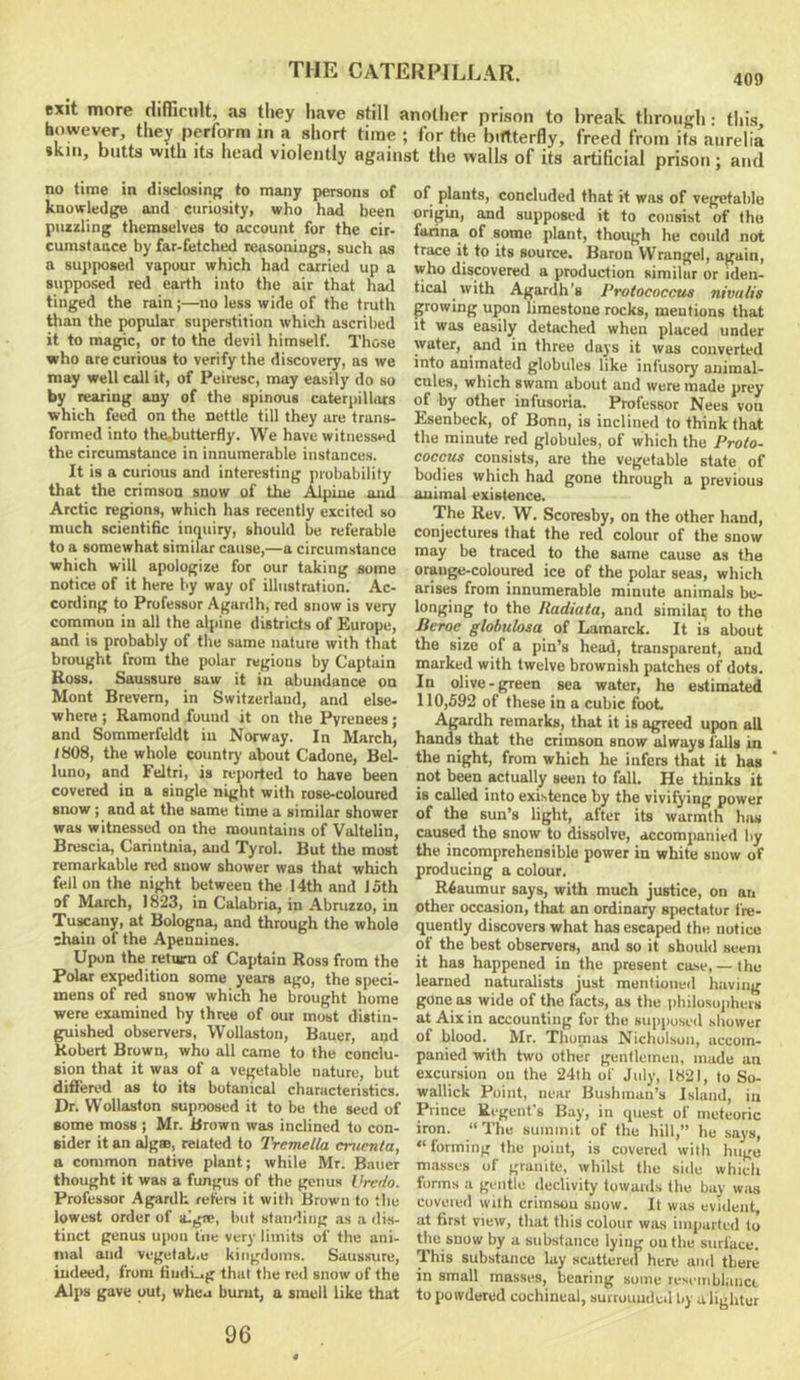 exit more difficult, as they have still another prison to break through: tin’s however they perform in a short time ; for the biftterfly, freed from its aurelia »kin, butts with Its head violently against the walls of its artificial prison; and no time in disclosing to many persons of knowledge and curiosity, who had been puzzling themselves to account for the cir> cumstaace by far-fetched reasonings, such as a supposed vapour which had carried up a supposed red earth into the air that had tinged the rain;—no less wide of the truth than the popular superstition which ascribed it to magic, or to the devil himself. Those who are curious to verify the discovery, as we may well call it, of Peiresc, may easily do so by rearing any of the spinous caterpillars which feed on the nettle till they are trans- formed into the.butterfly. We have witnessed the circumstance in innumerable instances. It is a curious and interesting probability that the crimson snow of the Alpine nml Arctic regions, which has recently excited so much scientific inquiry, should be referable to a somewhat similar cause,—a circumstance which will apologize for our taking some notice of it here by way of illustration. Ac- cording to Professor Agardh, red snow is very common in all the alpine districts of Europe, and is probably of the same nature with that brought from the polar regions by Captain Ross. Saussure saw it in abundance on Mont Brevem, in Switzerland, and else- where ; Ramond found it on the Pyrenees; and Sommerfeldt in Norway. In March, i808, the whole country about Cadone, Bel- luno, and Feltri, is reported to have been covered in a single night with rose-coloured snow; and at the same time a similar shower was witnessed on the mountains of Valtelin, Brescia, Cariutnia, and Tyrol. But the most remarkable red snow shower was that which fell on the night between the 14th and 15th of March, 1823, in Calabria, in Abnizzo, in Tu^any, at Bologna, and through the whole chain of the Apennines. Upon the return of Captain Ross from the Polar expedition some years ago, the speci- mens of red snow which he brought home were examined by three of our most distin- guished observers, Wollaston, Bauer, and Robert Brown, who all came to the conclu- sion that it was of a vegetable nature, but difiered as to its botanical characteristics. Dr. Wollaston supoosed it to be the seed of some moss; Mr. Brown was inclined to con- sider it an aJgSB, related to Tremella cruenta, a common native plant; while Mr. Bauer thought it was a fungus of the genua Urcdo. Professor Ag^ardh refers it with Brown to the lowest order of algre, but standing as a dis- tinct genus upon tiie very limits of the ani- mal and vegetable kingdoms. Saussure, indeed, from fiudi.^g that the red snow of the Alps gave out, whea burnt, a smell like that of plants, concluded that it was of vegetable origin, and supposed it to consist of the farina of some plant, though he could not trace it to its source. Baron Wrangel, again, who discovered a production similar or iden- tical with Agardh’s Protococcus nivalis growing upon limestone rocks, mentions that it was easily detached when placed under water, and in three days it was converted into animated globules like infusory animal- cules, which swam about and were made prey of by other infusoria. Professor Nees von Esenbeck, of Bonn, is inclined to think that the minute red globules, of which the Proto- coccus consists, are the vegetable state of bodies which had gone through a previous animal existence. The Rev. W. Scoresby, on the other hand, conjectures that the red colour of the snow may be traced to the same cause as the orange-coloured ice of the polar seas, which arises from innumerable minute animals be- longing to the Radiata, and similai; to the Bcroe globulosa of Lamarck. It is about the size of a pin’s head, transparent, and marked with twelve brownish patches of dots. In olive-green sea water, he estimated 110,592 of these in a cubic foot Agardh remarks, that it is agreed upon all hands that the crimson snow ^ways I'alls in the night, from which he infers that it has not been actually seen to fall. He thinks it is called into existence by the vivifying power of the sun’s light, after its warmth has caused the snow to dissolve, accompanied by the incomprehensible power in white snow of producing a colour. R6aumur says, with much justice, on an other occasion, that an ordinary spectator fre- quently discovers what has escaped the notice of the best observers, and so it should seem it has happened in the present ca.se,— the learned naturalists just mentioned having gone as wide of the facts, as the ijliilosojiheis at Aixin accounting for the supposed shower of blood. Mr. Thomas Nicholson, accom- panied with two other gentlemen, made an excursion on the 24th of July, 1821, to So- wallick Point, near Bushman’s Island, in Prince Regent's Bay, in quest of meteoric iron. “The summit of the hill,” he says, “forming the point, is covered with huge masses of granite, whilst the side which forms a gentle declivity towards the bay was coveied with crimson snow. It was evident, at first view, that this colour wius imparted to the snow by a substance lying outlie surface. This substance lay scattered here and there in small masses, bearing some resemblaiiCL to powdered cochineal, surrounded by a lighter 96