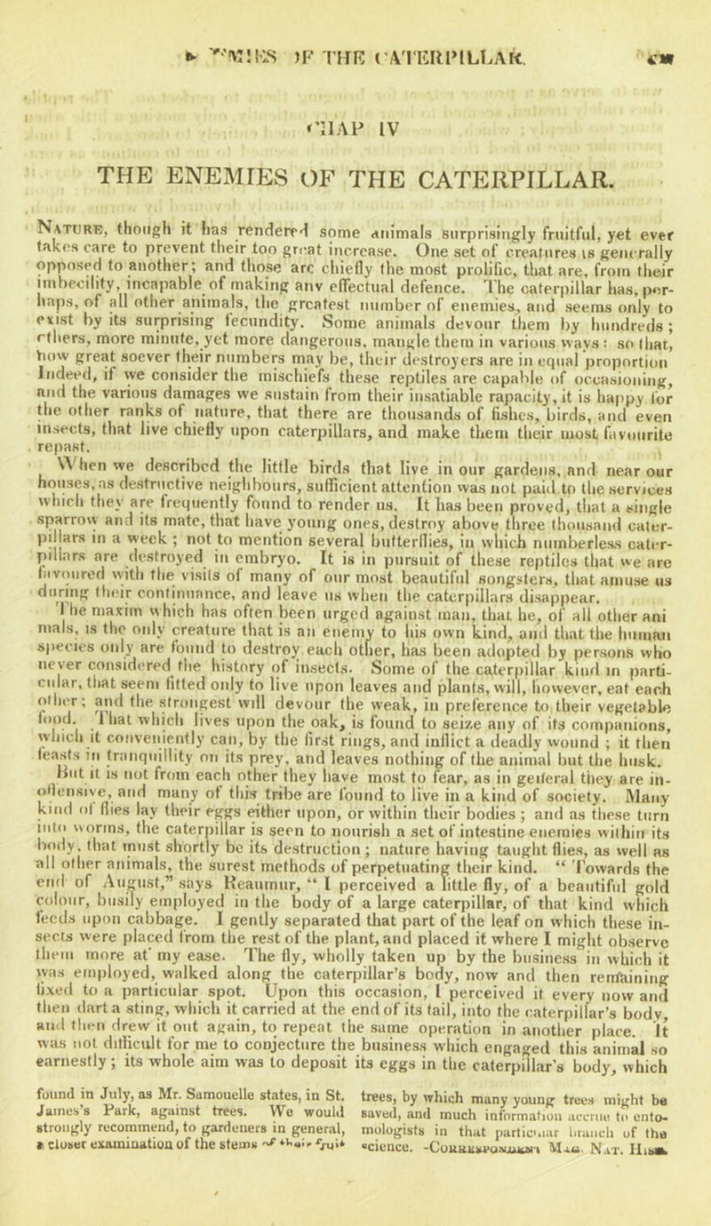 »*• '''Wilis )F TIIR r4'l'ERl»tLLAK, cw »’J1AP IV THE ENEMIES OF THE CATERPILLAR. Nature, though it has renderr'l some animals surprisingly fruitful, yet ever takes care to prevent their too gniat increase. One set ot creatures is generally opposed to another; and those arc chiefly the most prolific, that are, from tiieir imbecility, incapable of making anv effectual defence. I'he caterpillar has, p«!r- iinps, of all other animals, the greatest number of enemies, and seems only to erist by its surprising fecundity. Some animals devour them by hundreds; ethers, more minute, yet more dangerous, mangle them in various ways : so that, bow great soever their numbers may be, their destroyers are in equal proportion Indeed, if we consider the mischiefs these reptiles are capable of occasioning, and the various damages we sustain from their insatiable rapacity, it is happy for the other ranks of nature, that there are thousands of fishes, birds, and even insects, that live chiefly upon caterpillars, and make them their most favourite repast. When we described the little birds that live in our gardens, and near our houses, as destructive neighbours, sufficient attention was not paid to the services whicli they are frequently found to render us. It has been proved, that a single sparroiy and its mate, that have young ones, destroy above three thousand cater- pi ar.s in a week ; not to mention several butterflies, in which numberless cater- pdlnrs are (lestroyed in embryo. It is in pursuit of these reptiles that we are htviuired with the visits of many of our most beautiful songsters, that amuse us during their continuance, and leave ns when the caterpillars disappear. I he maxim which has often been urged against man, that he, of all other ani mals, IS the only creature that is an enemy to his own kind, and that the human species only are found to destrojj each otfier, has been adopted by persons who never considi'red the history of insects. Some of the caterpillar kind in parti- cular, that seem fitted only to live upon leaves and plants, will, however, eat each other; and the strongest will devour the weak, in preference to their vegetable food. 1 hat which lives upon the oak, is found to seixe any of its companions, winch it conveniently can, by the first rings, and inflict a deadly wound ; it then leasts Til tranquillity on its prey, and leaves nothing of the animal but the husk. lint It IS not from each other they have most to fear, as in geileral tiiey are in- oflensiye, and many ot this tribe are found to live in a kind of society. Many kind ol flies lay their eggs either upon, or within their bodies ; and as these turn into worms, the caterpillar is seen to nourish a set of intestine enemies within its body, that must shortly be its destruction ; nature having taught flies, as well as all other animals, the surest methods of perpetuating their kind. “ Towards the end of August,” .says Keanmur, “ I perceived a little fly, of a beautiful gold colour, busily employed in the body of a large caterpillar, of that kind which feeds upon cabbage. I gently separated that part of the leaf on which these in- sects were placed from the rest of the plant, and placed it where I miglit observe llieiii more at’ my ease. The fly, wholly taken up by the business in which it was employed, walked along the caterpillar’s body, now and then rentaining fixed to a particular spot. Upon this occasion, I perceived it every now and then dart a sting, which it carried at the end of its tail, into the caterpillar’s body and then drew it out again, to repeat the same operation in anotlier place. It was not dilficidt for me to conjecture the business which engaged this animal so earnestly ; its whole aim was to deposit its eggs in the caterpillar’s body, which found in July, os Mr. Samouclle states, in St. trees, by which many young trees might be James s Park, against trees. We would saved, and much information accrue to ento- strongly recommend, to gardeners in general, mologisfs in that partic-.iar branch of the «i closer exanunatioa of the stemsscience. -CouHiiiu>o~.ui»i» N.vt. Ilib»,