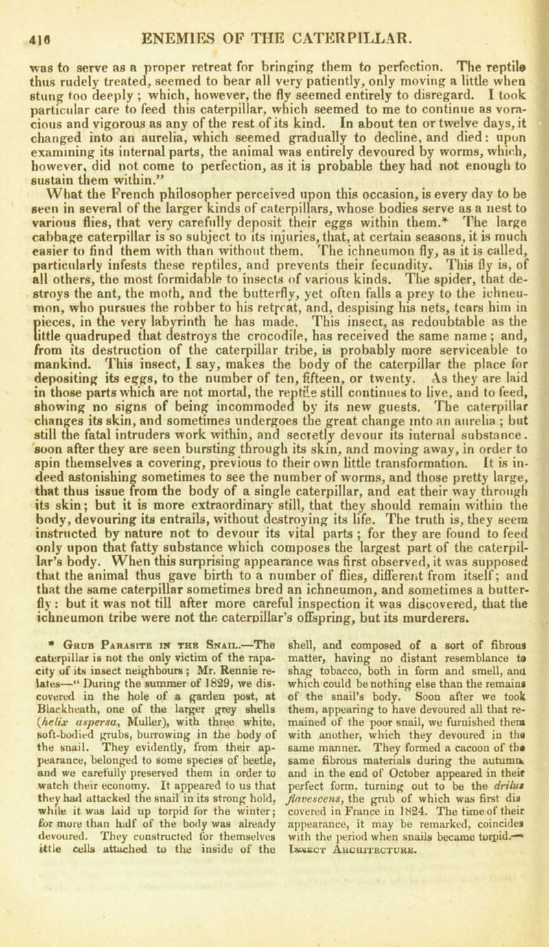 was to serve as a proper retreat for brinffing tl)em to perfection. The reptile thus rudely treated, seemed to bear all very patiently, only moving a little when stung too deeply ; which, however, the fly seemed entirely to disregard. I took particular care to feed this caterpillar, which seemed to me to continue as vora- cious and vigorous as any of the rest of its kind. In about ten or twelve days, it changed into an aurelia, which seemed gradually to decline, and died: upon examining its internal parts, the animal was entirely devoured by worms, which, however, did not come to perfection, as it is probable they had not enough to sustain them within.” What the French philosopher perceived upon this occasion, is every day to be seen in several of the larger kinds of caterpillars, whose bodies serve as a nest to various flies, that very carefully deposit their eggs within them.''’ The large cabbage caterpillar is so subject to its injuries, that, at certain seasons, it is much easier to find them with than without them. The ichneumon fly, as it is called, particularly infests these reptiles, and prevents their fecundity. This flv is, of all others, the most formidable to insects of various kinds. The spider, that de- stroys the ant, the moth, and the butterfly, yet often falls a prey to the ichneu- mon, who pursues the robber to his retjeat, and, despising his nets, tears him in [lieces, in the very labyrinth he has made. This insect, as redoubtable as the ittle quadruped that destroys the crocodile, has received the same name ; and, from its destruction of the caterpillar tribe, is probably more serviceable to mankind. This insect, I say, makes the body of the caterpillar the place for depositing its eggs, to the number of ten, fifteen, or twenty. As they are laid in those parts which are not mortal, the reptile still continues to live, and to feed, showing no signs of being incommoded by its new guests. The caterpillar changes its skin, and sometimes undergoes the great change into an aurelia ; but still the fatal intruders work within, and secretly devour its internal substance, soon after they are seen bursting through its skin, and moving away, in order to spin themselves a covering, previous to their own little transformation. It is in- deed astonishing sometimes to see the number of worms, and those pretty large, that thus issue from the body of a single caterpillar, and eat their way through its skin; but it is more extraordinary still, that they should remain within the body, devouring its entrails, without destroying its life. The truth is, they seem instructed by nature not to devour its vital parts ; for they are found to feed only upon that fatty substance which composes the largest part of the caterpil- lar’s body. When this surprising appearance was first observed, it was supposed that the animal thus gave birth to a number of flies, diSerent from itself; and that the same caterpillar sometimes bred an ichneumon, and sometimes a butter- fly : but it was not till after more careful inspection it was discovered, that the ichneumon tribe were not the caterpillar’s oflspring, but its murderers. • Grub Parasite m the Snail.—^The caterpillar is not the only victim of the rapa- city of its insect neighbours ; Mr. Rennie re- lates—“ During the summer of 1829, we dis- covered in the hole of a garden post, at Blackheath, one of the larger grey shells aspersa, Muller), with three white, suft-bo<lied grubs, burrowing in the body of the snail. They evidently, from their ap- pearance, belonged to some species of beetle, and we carefully preserved them in order to watch their economy. It appeared to us that they had attacked the snail in its strong hold, while it was laid up torpid for the winter; fur mure than half of the body was already devoured. They constructed for themselves ittle ceils attached to the inside of the shell, and composed of a sort of fibrous matter, having no distant resemblance to shag tobacco, both in form and smell, ana which could be nothing else than the remains of the snail’s body. Soon after we took them, appearing to have devoured all that re- mained of the poor snail, we furnished them with another, which they devoured in the same manner. They formed a cacoon of the same fibrous materials during the autumiL and in the end of October appeared in their perfect form, turning out to be the drilut Jinvescens, the grub of which was first dis covered in France in 1H24. The time of their appearance, it may be remarked, coincides with the period when snails became tori)id.-“ IsHUiCT AuCUiTECTUKE.