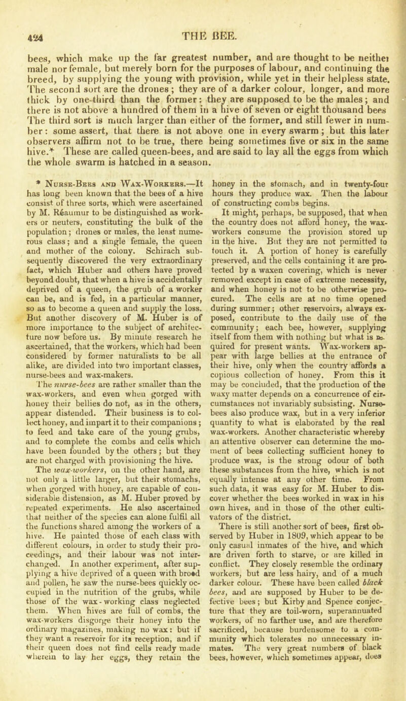 bees, which make up the far greatest number, and are thought to be nelthei male nor female, but merely born for the pu^oses of labour, and continuing the breed, by supplying the young with provision, while yet in their helpless state, 'riie second sort are the drones ; they are of a darker colour, longer, and more (hick by one-third than the former: they are supposed to be the males; and there is not above a hundred of them in a nive of seven or eight thousand bees The third sort is much larger than either of the former, and still fewer in num- ber : some assert, that there is not above one in every swarm; but this later observers affirm not to be true, there being sometimes live or six in the same hive.'' These are called queen-bees, and are said to lay all the eggs from which the whole swarm is hatched in a season. * Nurse-Bbes A.ND Wax-Workers.—It has long been known that the bees of a hive consist, of three sorts, which were ascertained by M. Reaumur to be distinguished as work- ers or neuters, constituting the bulk of the population; drones or mules, the least nume- rous class; and a single female, the queen and mother of the colony. Schirach sub- sequently discovered the very extraordinary fact, which Huber and others have proved beyond doubt, that when a hive is accidentally deprived of a queen, the grub of a worker can be, and is fed, in a particular manner, so as to become a queen and supply the loss. But another discovery of M. Huber is of mure importance to the subject of architec- ture now before us. By minute research he ascertained, that the workers, which had been considered by former naturalists to be all alike, are divided into two important classes, nurse-bees and wax-makers. The 7iurse-bees are rather smaller than the wax-workers, and even when gorged with honey their bellies do not, as in the others, appear distended. Their business is to col- lect honey, and impart it to their companions; to feed and take care of the young gnibs, and to complete the combs and cells which have been founded by the others; but they are not charged with provisioning the hive. The loux-xuorkers, on the other hand, are nut only a little larger, but their stomachs, when gorged with honey, are capable of con- siderable distension, as M. Huber proved by repeated experiments. He also ascertained that neither of the species can alone fulfil all the functions shared among the workers of a hive. He painted those of each class with different colours, in order to study their pro- ceedings, and their labour was not inter- changed. In another experiment, after sup- plying a hive deprived of a queen with broad and pollen, he saw the nurse-bees quickly oc- cupied in the nutrition of the grubs, white those of the wax - working class neglected them. When hives are full of combs, the wax-workers disgorge their honey into the ordinary magazines, making no wax: but if they want a reservoir for its reception, and if their queen does not find cells ready made wherein to lay her eggs, they retain the honey in the stomach, and in twenty-four hours they produce wax. Then the labour of constructing combs begins. It might, perhaps, be supposed, that when the country does nut afibrd honey, the wax- workers consume the provision stored up in the hive. But they are not permitted to touch it. A portion of honey is carefully preserved, and the cells containing it are pro- tected by a waxen covering, which is never removed except in case of extreme necessity, and when honey is not to be otherwise pro- cured. The cells are at no time opened during summer; other reservoirs, always ex- posed, contribute to the daily use of the community; each bee, however, supplying itself from them with nothing but what is ft». quired for present wants. Wax-workers ap- pear with large bellies at the entrance of their hive, only when the country affords a copious collection of honey. From this it may be concluded, that the production of the waxy matter depends on a concurrence of cir- cumstances not invariably subsisting. Nurse- bees also produce wax, but in a very inferior quantity to what is elaborated by the real wax-workers. Another characteristic whereby an attentive observer can determine the mo- ment of bees collecting sufficient honey to produce wax, is the strong odour of both these substances from the hive, which is not equally intense at any other time. From such data, it was easy for M. Huber to dis- cover whether the bees worked in wax in his own hives, and in those of the other culti- vators of the district. There is still another sort of bees, first ob- served by Huber in 1809, which appear to bo only casual inmates of the hive, and which are driven forth to starve, or are killed in conflict. They closely resemble the ordinary workers, but are less hairy, and of a much darker colour. These have been called black bees, oikI are supposed by Huber to be de- fective bees; but Kirby and Spence conjec- ture that they are toil-worn, superannuated workers, of no farther use, and are therefore sacrificed, because burdensome to a com- munity which tolerates no unnecessary in- mates. The very great numbers of black bees, however, which sometimes appear, does