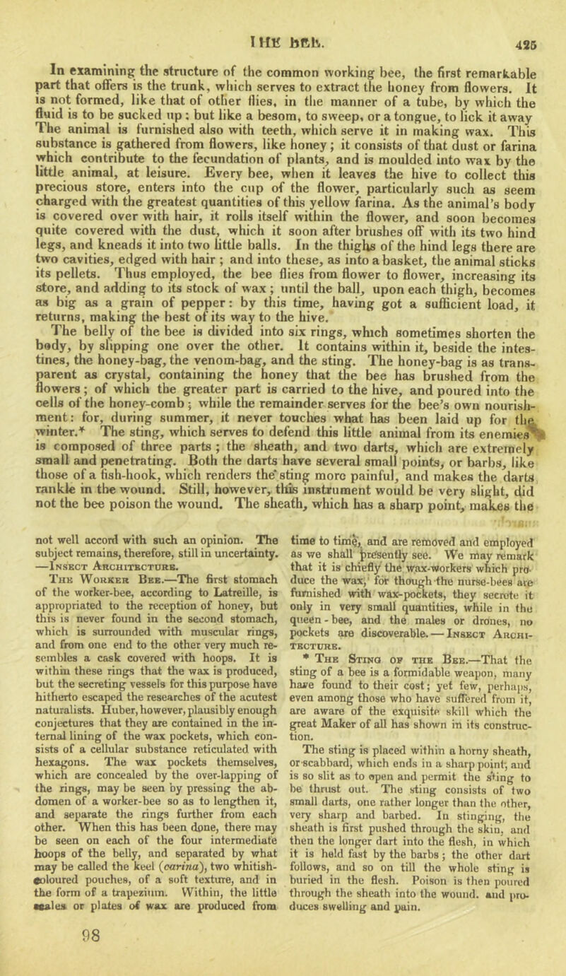 IHK bRK. 4S6 In examining the structure of the common working bee, the first remarkable part that offers is the trunk, which serves to extract the honey from flowers. It is not formed, like that of other flies, in the manner of a tube, by which the fluid is to be sucked up: but like a besom, to sweep, or a tongue, to lick it away The animal is furnished also with teeth, which serve it in making wax. This substance is gathered from flowers, like honey; it consists of that dust or farina which contribute to the fecundation of plants, and is moulded into wax by the little animal, at leisure. Every bee, wlien it leaves the hive to collect this precious store, enters into the cup of the flower, particularly such as seem charged with the greatest quantities of this yellow farina. As the animal’s body is covered over with hair, it rolls itself within the flower, and soon becomes quite covered with the dust, which it soon after brushes off with its two hind legs, and kneads it into two little balls. In the thighs of the hind legs there are two cavities, edged with hair ; and into these, as into a basket, the animal sticks its pellets. Thus employed, the bee flies from flower to flower, increasing its store, and adding to its stock of wax ; imtil the ball, upon each thigh, becomes as big as a grain of pepper: by this tinae, having got a sufficient load, it returns, making the best of its way to the hive. The belly of the bee is divided into six rings, which sometimes shorten the body, by slipping one over the other. It contains within it, beside the intes- tines, the honey-bag, the venom-bag, and the sting. The honey-bag is as trans- parent as crystal, containing the honey that the bee has brushed from the flowers ; of which the greater part is carried to the hive, and poured into the cells of the honey-comb ; while the remainder serves for the bee’s own nourisJi- ment: for, during summer, it never touches what has been laid up for tha winter.* The sting, which serves to defend this little animal from its enemies^ is composed of three parts ; the slieath, and two darts, which are extremely small and penetrating. Both the darts have several small points, or barbs, like those of a fish-hook, which renders the' sting more painful, and makes the darts rankle in the wound. Still, however, this instrument would be very slight, did not the bee poison the wound. The sheath, which has a sharp point, makes tlie not well accord with such an opinion. The subject remains, therefore, still in uncertainty. —Insect Architkcturb. The Worker Bee.—The first stomach of the worker-bee, according to Latreille, is appropriated to the reception of honey, but this is never found in the second stomach, which is surrounded with muscular rings, and from one end to the other very much re- sembles a cask covered with hoops. It is within these rings that the wax is produced, but the secreting vessels for this purpose have hitherto escaped the researches of the acutest naturalists. Huber, however, plausibly enough conjectures that they are contained in the in- ternal lining of the wax pockets, which con- sists of a cellular substance reticulated with hexagons. The wax pockets themselves, which are concealed by the over-lapping of the rings, may be seen by pressing the ab- domen of a worker-bee so as to lengthen it, and separate the rings further from each other. When this has been done, there may be seen on each of the four intermediate hoops of the belly, and separated by what may be called the keel (carina), two whitish- •oloured pouches, of a soft texture, and in the form of a trapezium. Within, the little walea or plates of wax are produced from time to time, and are removed and employed as we shall jrresently see. We may remark that it is chiefly the wax-workers which pro- duce the wax;’ for though the nurse-bees are furnished with wax-pockets, they secrete it only in very small quantities, while in the queen - bee, and the males or drones, no pockets are discoverable. — Insect Archi- tecture. • The Sting op the Bee.—That the sting of a bee is a formidable weapon, many have found to their cost; yet few, perhaps, even among those who have suffered from it, are aware of the exquisite skill which the great Maker of all has shown in its construc- tion. The sting is placed within a horny sheath, orecabbard, which ends in a sharp point, and is so slit as to open and permit the s'ting to be thrust out. Tlie sting consists of two small darts, one rather longer than the other, very sharp and barbed. In stinging, the sheath is first pushed through the skin, and then the longer dart into the flesh, in which it is held fast by the barbs; the other dart follows, and so on till the whole sting is buried in the flesh. Poison is then poured through the sheath into the wound, and pro- duces swelling and pain. 98