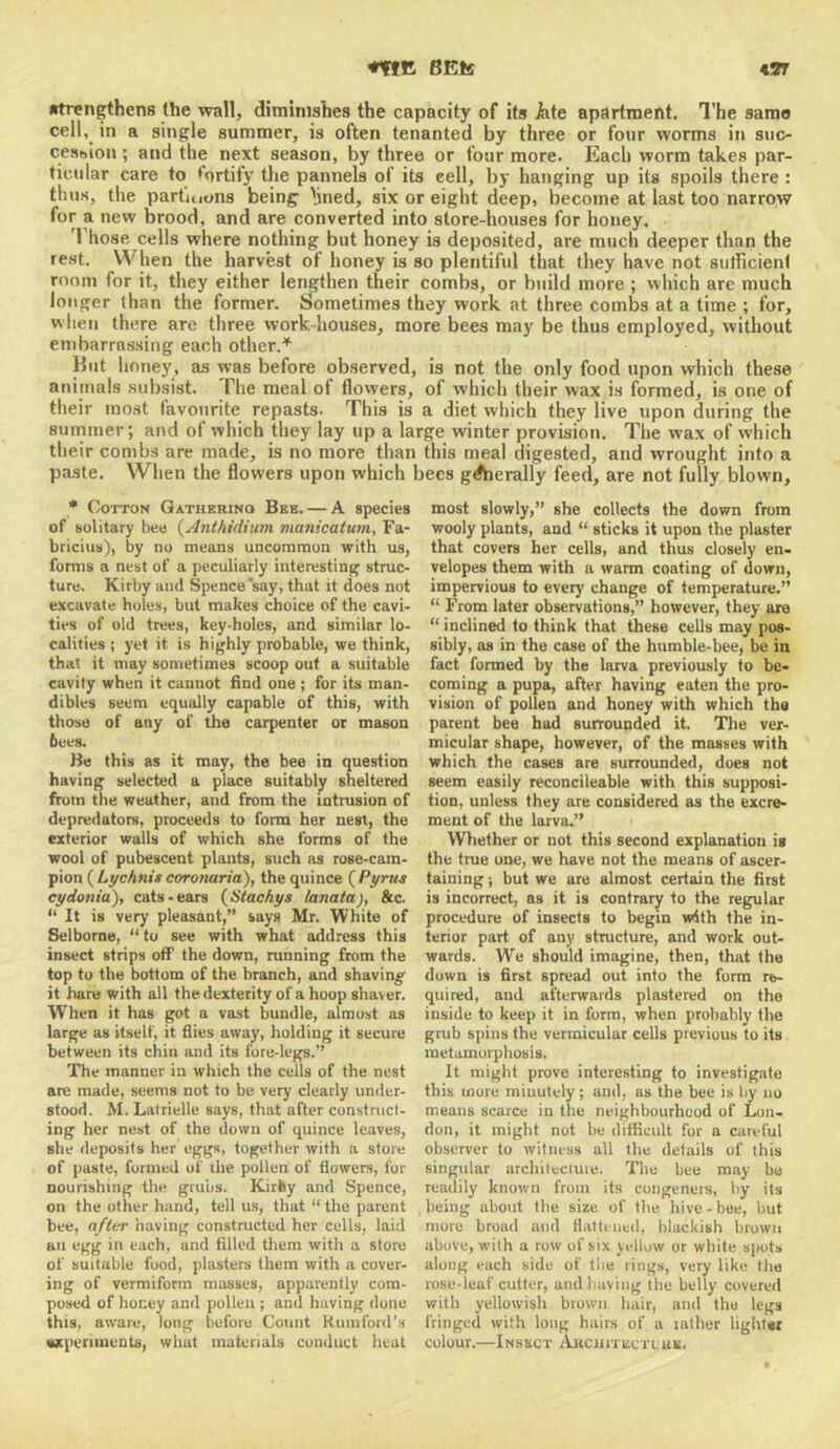 BEls Ktt •trengthens the wall, diminishes the capacity of its Jhte apartment. The same cell, in a single summer, is often tenanted by three or four worms in suc- cession ; and the next season, by three or four more. Each worm takes par- ticular care to tortify the pannels of its cell, by hanging up its spoils there : thus, the partitions being hned, six or eight deep, become at last too narrow for a new brood, and are converted into store-houses for honey. Those cells where nothing but honey is deposited, are much deeper than the rest. When the harvest of honey is so plentiful that they have not sutTicient room for it, they either lengthen their combs, or build more ; which are much longer than the former. Sometimes they work at three combs at a time ; for, when there are three work-houses, more bees may be thus employed, without embarrassing each other.^ But honey, as was before observed, is not the only food upon which these animals subsist. The meal of flovvers, of which their wax is formed, is one of their most favourite repasts. This is a diet which they live upon during the surnmer; and of which they lay up a large winter provision. The wax of which their combs are made, is no more than this meal digested, and wrought into a paste. When the flowers upon which bees gdberally feed, are not fully blown. * Cotton Gathbrino Bee. — A species of solitary bee {Anthidium manicatum, Fa- briciiis), by no means uncommon with us, forms a nest of a peculiarly interesting struc- ture. Kirby and Spence say, that it does not excavate holes, but makes choice of the cavi- ties of old trees, key-holes, and similar lo- calities ; yet it is highly probable, we think, that it may sometimes scoop out a suitable cavity when it cannot find one ; for its man- dibles seem equally capable of this, with those of any of the carpenter or mason bees. He this as it may, the bee in question having selected a place suitably sheltered from the weather, and from the intrusion of depredators, proceeds to form her nest, the exterior walls of which she forms of the wool of pubescent plants, such as rose-cam- pion ( Lychnis coroitaria), the quince ( Pyrus cydonia), cats-ears {Utackys lanata), &c. “ It is very pleasant,” says Mr. White of Selborne, “to see with what address this insect strips off the down, running from the top to the bottom of the branch, and shaving it hare with all the dexterity of a hoop shaver. When it has got a vast bundle, almost as large as itself, it flies away, holding it secure between its chin and its fore-legs.” The manner in which the cells of the nest are made, seems not to be very clearly under- stood. M. Latrielle says, that after construct- ing her nest of the down of quince leaves, she deposits her eggs, together with a store of paste, formed of the pollen of flowers, for nourishing the grubs. Kirby and Spence, on the other h.-md, tell us, that “ the parent bee, after having constructed her cells, laid an egg in each, and filled them with a store of suitable food, plasters them with a cover- ing of vermiform masses, apparently com- posed of honey and pollen ; and having done this, aware, long before Count Kumford’s axperiments, what materials conduct Iieat most slowly,” she collects the down from wooly plants, and “ sticks it upon the plaster that covers her cells, and thus closely en- velopes them with a warm coating of down, impervious to every change of temperature.” “ From later observations,” however, they are “ inclined to think that these cells may pos- sibly, as in the case of the humble-bee, be in fact formed by the larva previously to be- coming a pupa, after having eaten the pro- vision of pollen and honey with which the parent bee had surrounded it. The ver- micular shape, however, of the masses with which the cases are surrounded, dues not seem easily reconcileable with this supposi- tion, unless they are considered as the excre- ment of the larva.” Whether or not this second explanation is the true one, we have not the means of ascer- taining i but we are almost certain the first is incorrect, as it is contrary to the regular procedure of insects to begin with the in- terior part of any structure, and work out- wards. We should imagine, then, that the down is first spread out into the form re- quired, and afterwards plastered on the inside to keep it in form, when probably the grub spins the vermicular cells previous to its metamorphosis. It might prove interesting to investigate this more minutely; and, as the bee is by no means scarce in the neighbourhood of Lon- don, it might not be difficult for a careful observer to witness all the det.ails of this singular architeciuie. The bee may be readily known from its congeners, by its being about the size of the hive - bee, but more broad and flattened, blackish brown above, with a row of six yellow or white spots along each side of the rings, very like the rose-leaf cutter, and having the belly covered with yellowish brown hair, and the legs fringed with long hairs of a tather lightw colour.—Insect AjiciiiTiicTL re.