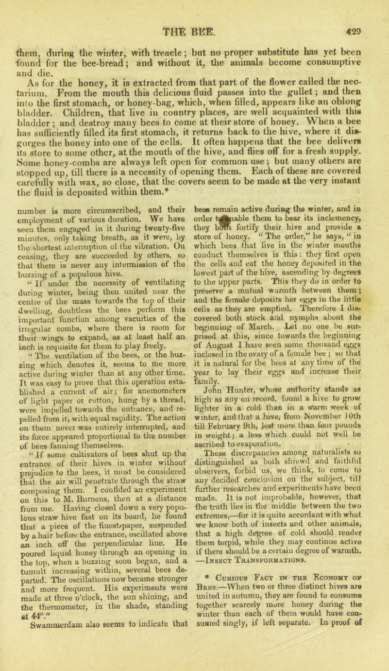 them, during the winter, with treacle; but no proper substitute has yet been found for the bee-bread; and without it, the animals become consumptive and die. As for the honey, it is extracted from that part of the flower called the neo- tarium. From the mouth this delicious fluid passes into the gullet; and then into the first stomach, or honejr-bag, which, when filled, appears like an oblong bladder. Children, that live in country places, are well acquainted with this bladder ; and destroy many bees to come at their store of honey. When a bee has sufficiently filled its first stomach, it returns back to the hive, where it dis- gorges the honey into one of the cells. It often happens that the bee delivers its store to some other, at the mouth of the hive, and flies off for a fresh supply. Some honey-combs are always left open for common use; but many others arc stopped up, till there is a necessity of opening them. Each of these are covered carefully with wax, so close, that the covers seem to be made at the very instant the fluid is deposited within them.^ number is more circumscribed, and their employment of various duration. We have seen them engaged in it during twenty-five minutes, only taking breath, as it were, by the shortest luterniption of the vibration. On ceasing, they are succeeded by others, so that there is never any intermission of the buzzing of a populous hive. “ If under the necessity of ventilating during winter, being then united near the centre of the mass towards the top of their dwelling, doubtless the bees perform this important function among vacuities of the irregular combs, where there is room for their wings to expand, as at least half an inch i-s requisite for them to play freely. “ The ventilation of the bees, or the buz- zing which denotes it, seems to me more active during winter than at any other time. It was easy to prove that this operation esta- blished a current of air; for anemometers of light paper or cotton, hung by a thread, were impelled towards the entrance, and re- pelled from it, with equal rapidity. The action on them never was entirely interrupted, and its force appeared proportional to tile number of bees fanning themselves. “If some cultivators of bees shut up the entrance of their hives in winter without prejudice to the bees, it must be considered that the air will penetrate through the straw composing them. 1 confided an exjieriment on this to M. Bumens, then at a distance from me. Having closed down a very popu- lous straw hive fast on its board, he found that a piece of the finest/paper, 8u.spended by a hair before the entrance, oscillated above an inch ofi' the perpendicular line. He poured liquid honey through an opening in the top, when a buzzing soon began, and a tumult increasing within, severd bees de- parted. The oscillations now became stronger and more frequent. His experiments were made at three o’clock, the sun shining, and the thermometer, in the shade, standing at44°.” Swammerdam also seems to indicate that bees remain active during the winter, and in order tenable them to bear its inclemency, they bOTi fortify their hive and provide a store of honey. “ The order,” he says, “ in which bees that live in the winter mouths conduct themselves is this: they first open the cells and eat the honey deposited in the lowest part of the hive, ascending by degrees to the upper parts, '^is they do in order to preserve a mutual warmth between them; and the female deposits her eggs in the little cells as they are emptied. Therefore 1 dis- covered both stock and nymphs about the beginning of March. Let no one be sur- priseil at this, since towards the beginning of August 1 have seen some thousand eggs inclosed in the ovary of a female bee ; so that it is natural for the bees at any time of the year to lay their eggs and increase their family. John Hunter, whose authority stands as high as any on record, found a hive to grow lighter in a cold than in a warm week of winter, and that a hive, from November 10th till February 9th, lost more than four pounds in weight; a toss which could nut well be ascribed to evaporation. _ • These discrepancies among naturalists so distinguished as both shrewd and faithlid observers, forbid us, we think, to come to any decided conclusion on the subject, till further researches and experiments have been made. It is not improbable, however, that the truth lies in the middle between the two extremes,—for it is quite accordant with what we know both of insects and other animals, that a high degree of cold should render them torpid, while they may continue active if there shuiild be a certain degree of wannth. —Insbct Tbanskokmations. * Curious Fact in thb Economy ov Bkbs.—When two or three distinct hives are united in autumn, they are found to consume together scarcely more honey during the winter than each of them would have con- sumed singly, if left separate. In proof of