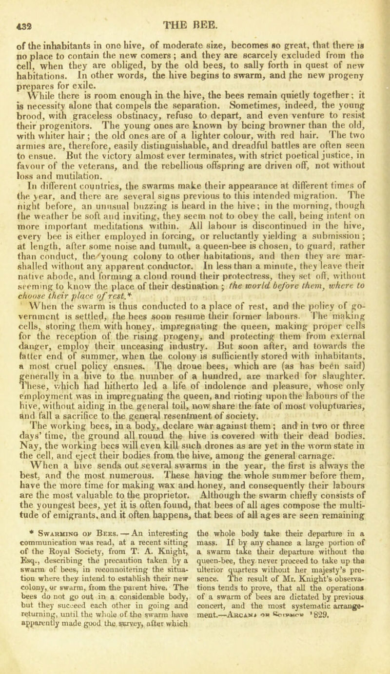 of the inhabitants in one hive, of moderate size, becomes so great, that there is no place to contain the new comers ; and they are scarcely excluded from the cell, when they are obliged, by the old bees, to sally forth in quest of new habitations. In other words, the hive begins to swarm, and the new progeny prepares for exile. While there is room enough in the hive, the bees remain quietly together; it is necessity alone that compels the separation. Sometimes, indeed, the young brood, with graceless obstinacy, refuse to depart, and even venture to resist their progenitors. The young ones are known by being browner than the old, with whiter hair ; the old ones are of a lighter colour, with red hair. The two armies are, therefore, easily distinguishable, and dreadful battles are often seen to ensue. But the victory almost ever terminates, with strict poetical justice, in favour of the veterans, and the rebellious offspring are driven off, not without loss and mutilation. In different countries, the swarms make their appearance at different times of tlie year, and tliere are several signs previous to this intended migration. The night before, an unusual buzzing is heard in the hive; in the morning, though (he weather be soft and inviting, they seem not to obey the call, being intent on more important meditations within. All labour is discontinued in the hive, every bee is either employed in forcing, or reluctantly yielding a submission ; at length, after some noise and tumult, a queen-bee is chosen, to guard, rather than conduct, the 'young colony to other habitations, and then they are mar- shalled without any apparent conductor. In less than a minute, they leave theit native abode, and forming a cloud round their protectre.ss, they set off, without seeming to know the place of their destination ; the world before them, where to choose their place of rest.'*- W'^lien the swarm is thus conducted to a place of rest, and the policy of go- vernment IS settled, the bees soon resume their former labours. Tlie making cells, storing them with honey, impregnating the queen, making proper cells for the reception of the rising progeny, and protecting them from external danger, employ their unceasing industry. But soon after, and toivards the latter end of summer, when the colony is sufficiently stored with inhabitants, n most cruel policy ensues. The drone bees, which are fas has been said) generally in a hive to the number of a hundred, ace marked for slaughter. These, which had hitherto led a life of indolence and pleasure, whose only employment was in impregnating the queen, and rioting upon the labours of the hive, without aiding in the. general toil, now share the fate of most voluptuaries, and fall a sacrifice to the general resentment of society. The working bees, in a body, declare war against them; and in two or three days’ time, the ground all round tlie hive is covered with tlieir dead bodies. Nay, the working bees will even kill such drones as are yet in the worm state in the cell, and eject their bodies from the hive, among the general carnage. When a hive sends out several swarms in the year, the first is always the best; and the most numerous. These having the whole summer before them, have the more time for making wax and honey, and consequently their labours are the most valuable to the proprietor. Although the swarm chiefly consists of the youngest bees, yet it is often found, that bees of all ages compose the multi- tude of emigrants, and it often happens, that bees of ail ages are seen remaining * SwxRUiNQ ov Bees.—An interesting communication was read, at a recent sitting of the Royal Society, from T. A. Knight, Ksq., describing the precaution taken by a swarm of bees, in reconnoitering the situa- tion where they intend to establish their new colony, or swarm, from the parent hive. The bees do not go out in a considerable body, but they succeed each other in going and returning, until the whole of the swarm have apparently made good the, s.Krvey, after which the whole body take their departure in a mass. If by any chance a large portion of a swarm tAe their departure without the queen-bee, they never proceed to take up the ulterior quarters without her majesty’s pre- sence. The result of Mr. Knight’s observa- tions tends to prove, that all the operations of a swarm of bees are dictated by previous concert, and the most systematic arrange- ment.—AKCANi Koivmoh ’829.