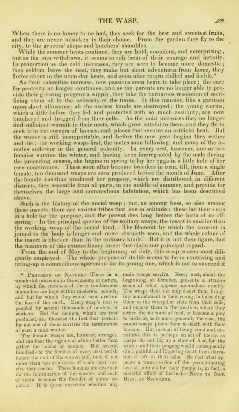 When there is no honey to he had, they seek for the best and sweetest fruits, and they arc never mistaken in their choice. From the garden they lly to the ^ city, to the grocers’ shojis and butcliers’ shambles. While the summer heats continue, they are bold, voracious, and enterprising, but as the sun willulraws, it seems to rob them of their courage and activity. In proportion as the cold increases, they are seen to become more domestic; they seldom leave the nest, they make but short adventures from home, they flutter about in the noon-day heats, and soon after return cliilled and feeble.’^ As their calamities increase, new passions soon begin to take place ; the care for posterity no longer continues, and as the parents are no longer able to pro- vide their growing progeny a supply, they lake the barbanms resolution of sacri- ficing them all to the necessity of the times. In this manner, like a garrison upon short allowance, all the useless hands are destroyed ; the young worms, which a little before they fed and protected with so much assiduity, are now butchered and dragged from their cells. As the cold increases they no longer find sufficient warmth in their nests, which grow hateful to them, and they fly to seek it in the corners of houses, and places that receive an artificial heat. Hut the winter is still insupportable, and before the nerv year begins they wither and die ; the working wasps first, the males soon following, and many of the fe- males suffering in the general calamity. In every nest, however, one or two females survive the winter, and having been impregnated by the male during the preceding season, she begins in spring to lay her eggs in a little hole of her own contrivance. These soon after become breeders in turn, till, from a single female, ten thousand wasps arc seen produced before the month of June. After the female has thus produced her progeny, which are distributed in different districts, they assemble from all parks, in the middle of summer, and provide for themselves the large and commodious habitation, which has been described above. Such is the history of the social wasp ; but, as among bees, so also among these insects, there are various tribes that live in solitude : these lay their rugs in a hole for the purpose, and the parent dies long before the birth of its otl- spring. In the principal species of the solitary wasps, the insect is smaller thau the working wasp of the social kind. The filament by which the corselet is joined to the body is longer and more distinctly seen, and the whole colour of the insect is blacker than in the ordinary kinds. But it is not their figure, but the manners of this extraordinary insect that claim our principal regard. From the end of May to the beginning of July, this wasp is seen most dili- gently employed. 'I’he whole jnirpose of its life seems to be in contriving and fitting-up a commodious apartment for its young one, which is not to succeed it * Pkovision oe Nature.—There ii a rvouderi'ul pruvisiuii in tire ecouuiny ui ualiire, by which the numbers of these troublesome marauders are kept within moderate bounds, and but for which they would soon overrun the fate of the earth. Every wasp’s nest is peopled by seveml thousands of neuters, or workets. But tire neuters, which are first jrroduced, are likewise the first that peiish : for not one of them survives the termination of even a mild winter. The female wasps are, however, stronger, anil call bear the rigours of winter better than either the males or neuters. But several hundreds of the females of every nest perish before the end of the winier, and, indeed, not move than ten ol a dozen of each nest sur- vive that season. These females are destined ior toe cuntinuatioii of the species, and each of 1 fiein becomes the founder of a new i-u- pjb..c. It is quite imcerltiin whether any male wasps survive. Every nest, about the beginning of October, presents a strange scene of what appears anomalous cruelty. The wasps then not only desist from bring- ing nourishment to their young, but also drag them ill the caterpillar state from their cells, and expose them to the weather, where they either die for want of food, or become a prey to birds, or, as is more generally the case, the parent wasps pinch them to death with their forceps. Bui instead of being cmel and un- natural, this is perhaps an act of mercy, as wasps do not lay up a store of food for the winter, aud their progeny would consequently die a painful and lingering death from starva- tion if left in their cells. So that what ap pears a tiansgression of the predominating love of animais for their young is, in fact, a merciful effort of instinct—Nons to Nat., Uisi. OF Seluornb.