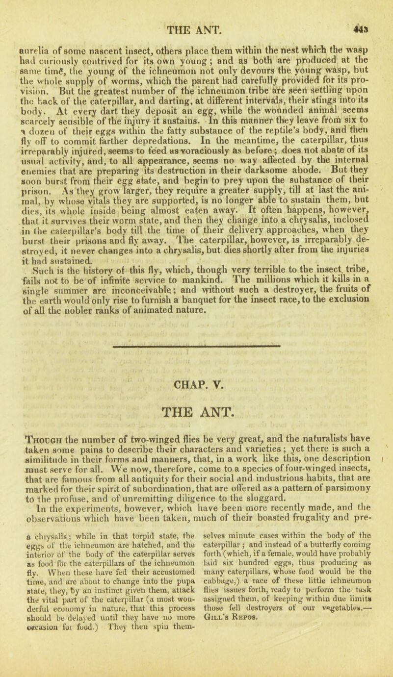 anrelia of some nascent insect, others place them within the nest which the wasp had curiously contrived for its own young; and as both are produced at the same timfi, the young of the ichneumon not only devours the young wasp, but the wliole supply of worms, which the parent had carefully provided for its pro- vision. But the greatest number of the ichneumon tribe aVe seen settling upon the back of the caterpillar, and darting, at different intervals, their stings into its body. At every dart they deposit an egg, while the wounded animal seems scarcely sensible of the imury it sustains. In this manner they leave from six to a dozen of their eggs within the fatty substance of the reptile’s body, and then fly off to commit farther depredations. In the meantime, the caterpillar, thus irreparably injured, seems to feed us voraciously as before ; does not abate of its usual activity, and, to all appearance, seems no way affected by the internal eiiemies that are preparing its destruction in their darksome abode. But they soon burst from their egg state, and begin to prey upon the substance of their prison. As they grow larger, they require a greater supply, till at last the ani- mal, by whose vitals they are supported, is no longer able to sustain them, but dies, its whole inside being almost eaten away. It often happens, however, that it survives their worm state, and then they change into a chrysalis, inclosed in the caterpillar’s body till the time of their delivery approaches, when they burst their prisons and fly away. The caterpillar, however, is irreparably de- stroyed, it never changes into a chrysalis, but dies shortly after from the injuries it had sustaitied. Such is the history of this fly, which, though very terrible to the insect, tribe, fails not to be of infinite service to mankind. The millions which it kills in a single summer are inconceivable; and without such a destroyer, the fruits of the earth would only rise to furnish a banquet for the insect race, to the exclusion of all the nobler ranks of animated nature. CHAP. V. THE ANT. Thodgh the number of two-winged flies be very great, and the naturalists have taken some pains to describe their characters and varieties; yet there is such a similitude in their forms and manners, that, in a work like this, one description must serve for all. We now, therefore, come to a species of four-winged insects, that are famous from all antiquity for their social and industrious habits, that are marked for their spirit of subordination, that are offered as a pattern of parsimony to the profuse, and of unremitting diligence to the sluggard. In the experiments, however, which have been more recently made, and the observations which have been taken, much of their boasted frugality and pre- a chtysalis; while in that torpid state, the eggs of the ichneumon are hatched, and the interior of the body of the caterpillar serves as food for the caterpillars of the ichneumon fly. When these have fed their accustomed time, and are about to change into the pupa state, they, by an instinct given them, attack the vital part of the caterpillar (a most won- derful economy in nature, that this process should be delayed until they have no more Mcasioii for food.) They then spin them- selves minute cases within the body of the caterpillar ; and instead of a butterfly coming forth (which, if a female, would have probably laid six hundred eggs, thus producing as many caterpillars, whose food would be the cabbage,) a race of these little ichneumon flies issues forth, ready to perform the task assigned them, of keeping within due limits those fell destroyers of our vngetables.— Gill's Rkpos.