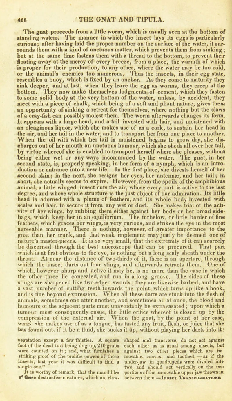 The gnat proceeds from a little worm, which is usually seen at the bottom of standing waters. The manner in which the insect lays its eggs is particularly curious; after having laid the proper number on the surface of the water, it sur- rounds them with a kind of unctuous matter, which prevents them from sinking ; but at the same time fastens them with a thread to the bottom, to prevent their floating away at the mercy of every breeze, from a place, the warmth of which is proper for their production, to any other, where the water may be too cold, or the animal’s enemies too numerous. Thus the insects, in their egg state, resembles a buoy, which is fixed by an anclmr. As they come to maturity they sink deeper, and at last, when they leave the egg as worms, they creep at the bottom. They now make themselves lodgments of cement, which they fasten to some solid body at the very bottom of the water, unless, by accident, they meet with a piece of chalk, which being of a soft and pliant nature, gives them an opportunity of sinking a retreat for themselves, where nothing but the claws of a cray-fish can possibly molest them. The worm afterwards changes its form. It appears with a large head, and a tail invested with hair, and moistened with an oleaginous liquor, which she makes use of as a cork, to sustain her head in the air, and her tail in the water, and to transport her from one place to another. When the oil with which her tail is moistened begins to grow dry, she dis- charges out of her mouth an unctuous humour, which she sheds all over her tail, by virtue whereof she is enabled to transport herself where sh^leases, without being either wet or any ways incommoded by the water. The gnat, in her second state, is, properly speaking, in her form of a nymph, which is an intro- duction or entrance into a new life. In the first place, she divests herself of her second skin; in the next, she resigns her eyes, her antennae, and her tail; in short, she actually seems to expire. However, from the spoils of the amphibious animal, a little winged insect cuts the air^ whose every part is active to the last degree, and whose whole structure is the just object of our admiration. Its little head is adorned with a plume of feathers, and its whole body invested with scales and hair, to secure it from any wet or dust. She makes trial of the acti- vity of her wings, by rubbing them either against her body or her broad side- bags, which keep her in an equilibrium. The furbelow, or little border of fine feathers, which graces her wings, is very curious, and strikes the eye in the most agreeable manner. There is nothing, however, of greater importance to the gnat than her trunk, and that weak implement may justly be deemed one of nature’s master-pieces. It is so very small, that the extremity of it can scarcely be discerned through the bsst microscope that can be procured. That part which is at first obvious to the eye, is nothing but a long scaly sheath under the throat. At near the distance of two-thirds of it, there is an aperture, through which the insect darts out four stings, and afterwards retracts them. One of which, however sharp and active it may be, is no more than the case in which the other three lie concealed, and run in a long groove. The sides of these slings are sharpened like two-edged swords ; they are likewise barbed, and have a vast number of cutting teeth towards the point, which turns up like a hook, and is fine beyond expression. When all these darts are stuck into the flesh of animals, sometimes one after another, and sometimes all at once, the blood and humours of the adjacent parts must unavoidably be extravasated; upon which a tumour must consequently ensue, the little orifice whereof is closed up by the compression of the external air. When the gnat, by the point ot her case, vtiss>^; 'he makes use of as a tongue, has tasted any fruit, flesh, or juice that she has found'out, if it be a fluid, she sucks it up, without playing her darts into it*. vegetation except a few thistles. A square foot of the dead turi being dug up, 210 grubs were counted on it; and, what furnishes a striking proof of the prolific powers of those insects, last year it was difficult to find a single one.” It is worthy of remark, that the mandibles e' these destmetive creatures, which are claw- shaped and transverse, do not act against each other as is usual among insects, but against two otl.er pieces which are im movable, convex, and toothed, — as if th# under-jaw in quadrupeds were divided inte two, aud should act vertically on the two portions of the immovable upper-jaw thrown in between them.—InsxcT TRAnsroJUfATioMS.