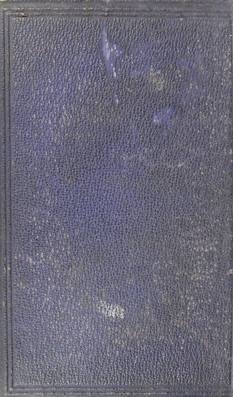 iMti pij^ssii ■•V .’<?‘i' i> I i-K Vl'i ;/•< i-'t:?. yy?: r f*