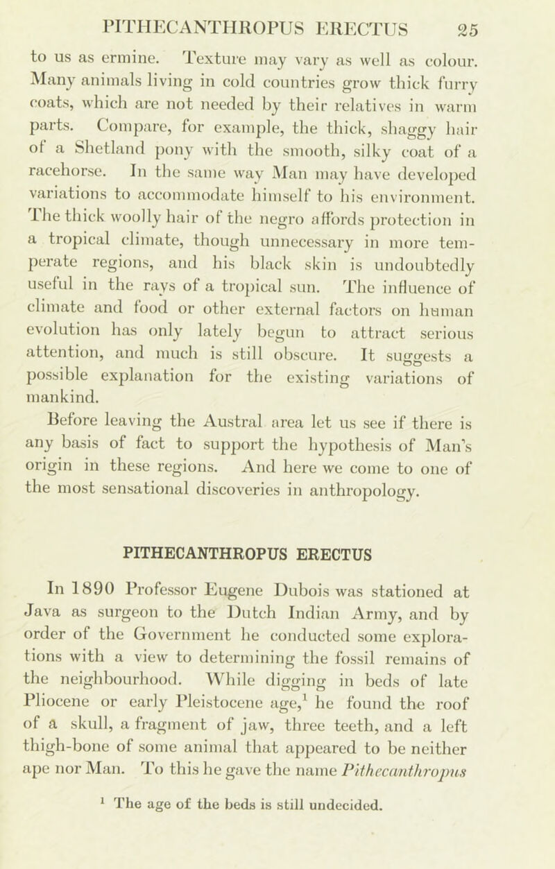 to us as ermine. Texture may vary as well as colour. Many animals living in cold countries grow thick furry coats, which are not needed by their relatives in warm parts. Compare, for example, the thick, shaggy hair of a Shetland pony with the smooth, silky coat of a racehorse. In the same way Man may have developed variations to accommodate himself to his environment. 1 he thick woolly hair of the negro affords protection in a tropical climate, though unnecessary in more tem- perate regions, and his black skin is undoubtedly useful in the rays of a tropical sun. The influence of climate and food or other external factors on human evolution has only lately begun to attract serious attention, and much is still obscure. It sinrcrests a possible explanation for the existing variations of mankind. Before leaving the Austral area let us see if there is any basis of fact to support the hypothesis of Man’s origin in these regions. And here we come to one of the most sensational discoveries in anthropology. PITHECANTHROPUS ERECTUS In 1890 Professor Eugene Dubois was stationed at Java as surgeon to the Dutch Indian Army, and by order of the Government he conducted some explora- tions with a view to determining the fossil remains of the neighbourhood. Wdiile digging in beds of late Pliocene or early Pleistocene age,^ he found the roof of a skull, a fragment of jaw, three teeth, and a left thigh-bone of some animal that appeared to be neither ape nor Man. To this he gave the name Pithecanthropus * The age of the beds is still undecided.