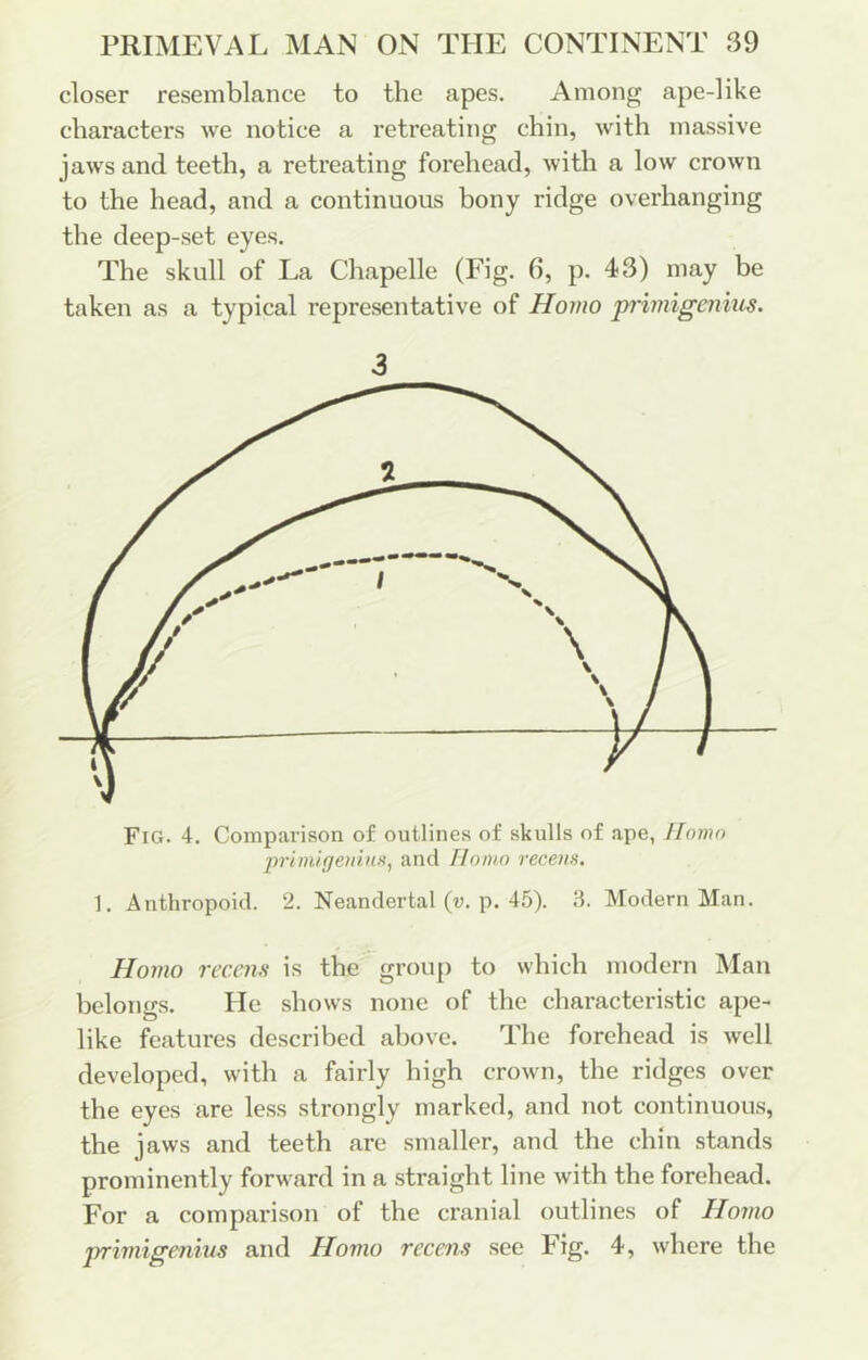 closer resemblance to the apes. Among ape-like characters we notice a retreating chin, with massive jaws and teeth, a retreating forehead, with a low crown to the head, and a continuous bony ridge overhanging the deep-set eyes. The skull of La Chapelle (Fig. 6, p. 43) may be taken as a typical representative of Homo primigcnkis. 3 Fig. 4. Comparison of outlines of skulls of ape, Homo ivitn'ifjetiiun, and Homo recenn. 1. Anthropoid. 2. Neandertal (u. p. 45). 3. Modern Man. Homo recens is the group to which modern Man belongs. He shows none of the characteristic ape- like features described above. The forehead is well developed, with a fairly high crown, the ridges over the eyes are less strongly marked, and not continuous, the jaws and teeth are smaller, and the chin stands prominently forward in a .straight line with the forehead. For a comparison of the cranial outlines of Homo primigenius and Homo recens see Fig. 4, where the