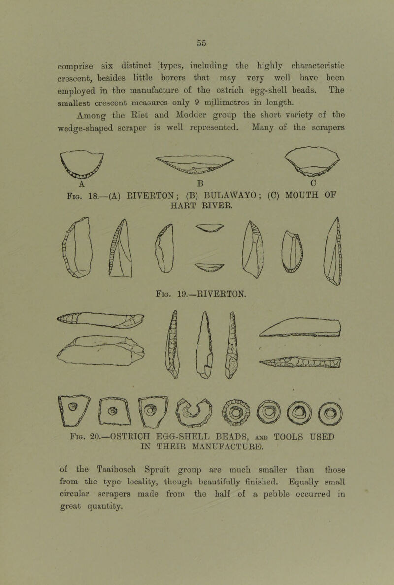 comprise six distinct [types, including the highly characteristic crescent, besides little borers that may very well have been employed in the manufacture of the ostrich egg-shell beads. The smallest crescent measures only 9 millimetres in length. Among the Kiet and Modder group the short variety of the wedge-shaped scraper is well represented. Many of the scrapers A Fig. 18.—(A) B C EIVERTON; (B) BULAWAYO; (C) MOUTH OF HART RIVER. Fig. 19.—RIVERTON. Fig. 20.—ostrich EGG-SHELL BEADS, and TOOLS USED IN THEIR MANUFACTURE. of the Taaibosch Spruit group are much smaller than those from the type locality, though beautifully finished. Equally small circular scrapers made from the half of a pebble occurred in great quantity.