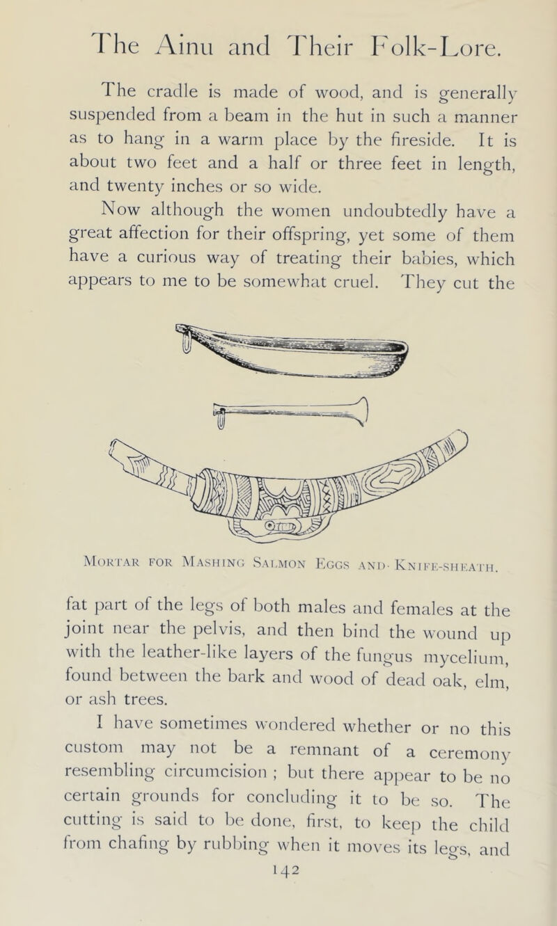 The cradle is made of wood, and is generally suspended from a beam in the hut in such a manner as to hang in a warm place by the fireside. It is about two feet and a half or three feet in length, and twenty inches or so wide. Now although the women undoubtedly have a great affection for their offspring, yet some of them have a curious way of treating their babies, which appears to me to be somewhat cruel. They cut the fat part of the legs of both males and females at the joint near the pelvis, and then bind the wound up with the leather-like layers of the fungus mycelium, found between the bark and wood of dead oak, elm, or ash trees. I have sometimes wondered whether or no this custom may not be a remnant of a ceremonv resembling circumcision ; but there appear to be no certain grounds for concluding it to be so. The cutting is said to be done, first, to keep the child from chafing by rubbing when it moves its leo-s and