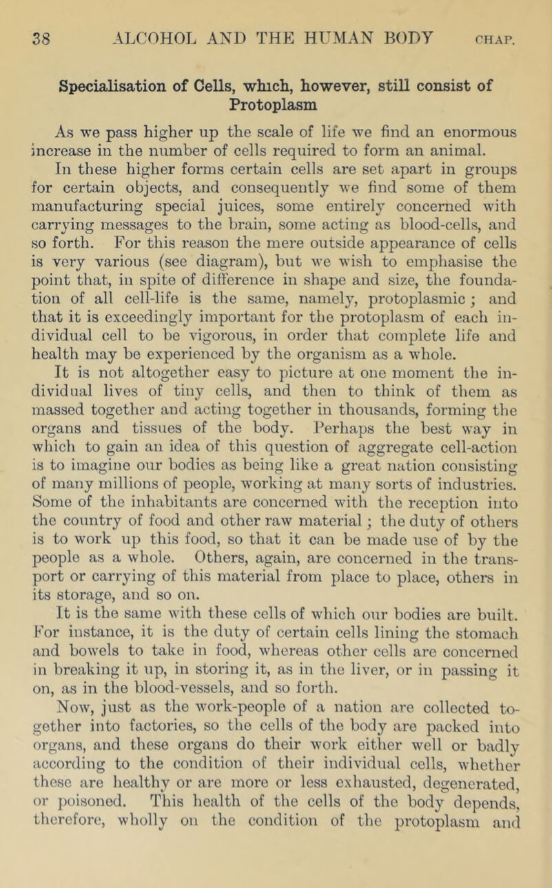 Specialisation of Cells, winch, however, still consist of Protoplasm As we pass higher up the scale of life we find an enormous increase in the number of cells required to form an animal. In these higher forms certain cells are set apart in groups for certain objects, and consequently we find some of them manufacturing special juices, some entirely concerned with carrying messages to the brain, some acting as blood-cells, and so forth. For this reason the mere outside appearance of cells is very various (see diagram), but we wish to emphasise the point that, in spite of difference in shape and size, the founda- tion of all cell-life is the same, namely, protoplasmic ; and that it is exceedingly important for the protoplasm of each in- dividual cell to be vigorous, in order that complete life and health may be experienced by the organism as a whole. It is not altogether easy to picture at one moment the in- dividual lives of tiny cells, and then to think of them as massed together and acting together in thousands, forming the organs and tissues of the body. Perhaps the best way in which to gain an idea of this question of aggregate cell-action is to imagine our bodies as being like a great nation consisting of many millions of people, working at many sorts of industries. Some of the inhabitants are concerned with the reception into the country of food and other raw material; the duty of others is to work up this food, so that it can be made use of by the people as a whole. Others, again, are concerned in the trans- port or carrying of this material from place to place, others in its storage, and so on. It is the same with these cells of which our bodies arc built. For instance, it is the duty of certain cells lining the stomach and bowels to take in food, whereas other cells are concerned in breaking it up, in storing it, as in the liver, or in passing it on, as in tlie blood-vessels, and so forth. Now, just as the work-people of a nation are collected to- gether into factories, so the cells of the body are packed into organs, and these organs do their work eitlier well or badly according to the condition of their individ\ial cells, whether these are healthy or are more or less exhausted, degenerated, or poisoned. This health of the cells of the body depends, therefore, wholly on the condition of the protoplasm and