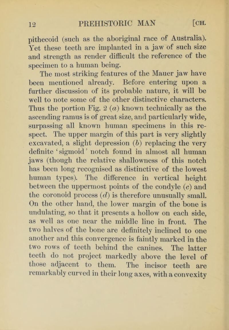 pithecoid (such as the aboriginal race of Australia). A'et these teeth are implanted in a jaw of such size and strength as render difficult the reference of the specimen to a human being. The most striking features of the Mauer jaw have been mentioned already. Before entering upon a further discussion of its probable nature, it will be well to note some of the other distinctive characters. Thus the portion Fig. 2 (a) known technically as the ascending ramus is of great size, and particularly wide, surpassing all known human specimens in this re- spect. The upper margin of this part is very slightly excavated, a slight depression (b) replacing the very definite ‘ sigmoid ’ notch found in almost all human jaws (though the relative shallowness of this notch has been long recognised as distinctive of the lowest human types). The difference in vertical height between the uppermost ])oints of the condyle (c) and the coronoid process (d) is therefore unusually small. On the other hand, the lower margin of the bone is undulating, so that it presents a hollow on each side, as well as one near the middle line in front. The two halves of the bone are definitely inclined to one another and this convergence is faintly marked in the two rows of teeth behind the canines. The latter teeth do not project markedly above the level of those adjacent to them. The incisor teeth are remarkably curved in their long axes, with a convexity