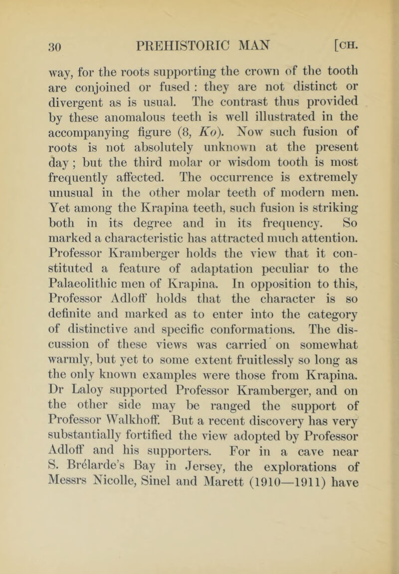 way, for the roots supporting the crown of the tooth are conjoined or fused : they are not distinct or divergent as is usual. The contrast thus provided by these anomalous teeth is well illustrated in the accompanying figure (8, Ko). Now such fusion of roots is not absolutely unknown at the present day ; but the third molar or wisdom tooth is most frequently aftected. The occurrence is extremely unusual in the other molar teeth of modern men. A^et among the Krapina teeth, such fusion is striking both in its degree and in its frequency. So marked a characteristic has attracted much attention. Professor Kramberger holds the view that it con- stituted a feature of adaptation peculiar to the Palaeolithic men of Krapina. In opposition to this. Professor Adloft’ holds that the character is so definite and marked as to enter into the category of distinctive and specific conformations. The dis- cussion of these views Avas carried on someAvhat warmly, but yet to some extent fruitlessly so long as the only known examples Avere those from Krapina. Dr Laloy supported Professor Kramberger, and on the other side may be ranged the support of Professor Walkhoff. But a recent discovery has very substantially fortified the vieAv adopted by Professor Adloft and his supporters. For in a cave near S. Brelarde’s Bay in Jersey, the explorations of Messrs Nicolle, Sinel and Marett (1910—1911) have