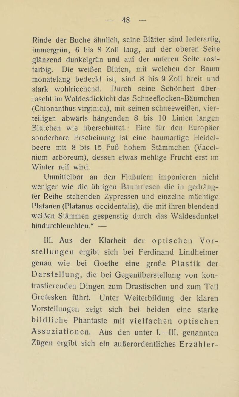 Rinde der Buche ähnlich, seine Blätter sind lederartig, immergrün, 6 bis 8 Zoll lang, auf der oberen-Seite glänzend dunkelgrün und auf der unteren Seite rost- farbig. Die weißen Blüten, mit welchen der Baum monatelang bedeckt ist, sind 8 bis 9 Zoll breit und stark wohlriechend. Durch seine Schönheit über- rascht im Waldesdickicht das Schneeflocken-Bäumchen (Chionanthus virginica), mit seinen schneeweißen, vier- teiligen abwärts hängenden 8 bis 10 Linien langen Blütchen wie überschüttet. • Eine für den Europäer sonderbare Erscheinung ist eine baumartige Heidel- beere mit 8 bis 15 Fuß hohem Stämmchen (Vacci- nium arboreum), dessen etwas mehlige Frucht erst im Winter reif wird. Unmittelbar an den Flußufern imponieren nicht weniger wie die übrigen Baumriesen die in gedräng- ter Reihe stehenden Zypressen und einzelne mächtige Platanen (Platanus occidentalis), die mit ihren blendend weißen Stämmen gespenstig durch das Waldesdunkel hindurchleuchten.“ — III. Aus der Klarheit der optischen Vor- stellungen ergibt sich bei Ferdinand Lindheimer genau wie bei Goethe eine große Plastik der Darstellung, die bei Gegenüberstellung von kon- trastierenden Dingen zum Drastischen und zum Teil Grotesken führt. Unter Weiterbildung der klaren Vorstellungen zeigt sich bei beiden eine starke bildliche Phantasie mit vielfachen optischen Assoziationen. Aus den unter I.—III. genannten Zügen ergibt sich ein außerordentliches Erzähler-