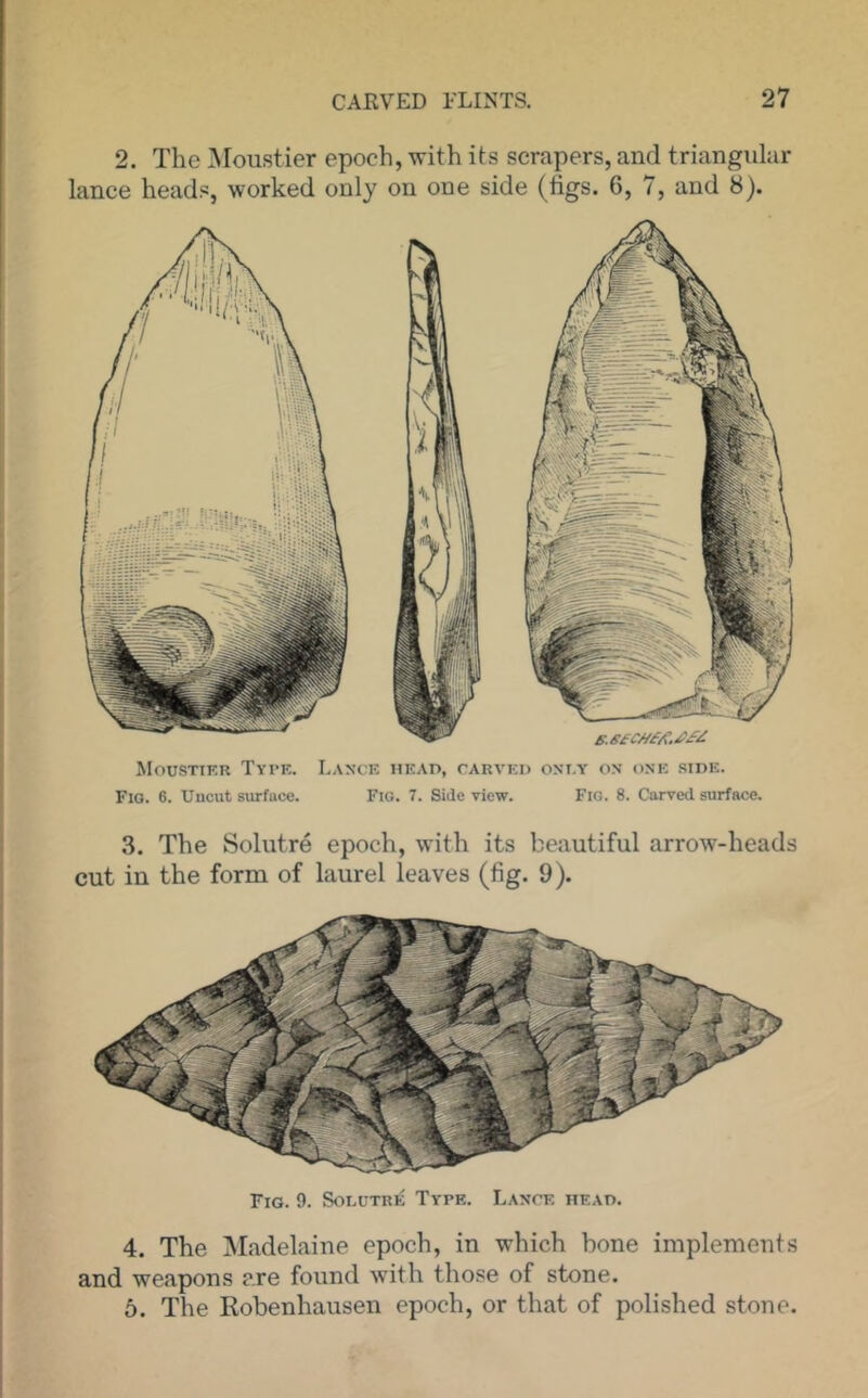 2. The Moustier epoch, with its scrapers, and triangular lance heads, worked only on one side (figs. 6, 7, and 8). Moustikr Tyte. Lance heap, cauvep oni.y on one side. Fig. 6. Uncut surface. Fig. 7. Side view. Fio. 8. Carved surface. 3. The Solutre epoch, with its beautiful arrow-heads cut in the form of laurel leaves (fig. 9). Fig. 9. Solutre Type. Lance heap. 4. The Madelaine epoch, in which bone implements and weapons are found with those of stone. 5. The Robenhausen epoch, or that of polished stone.