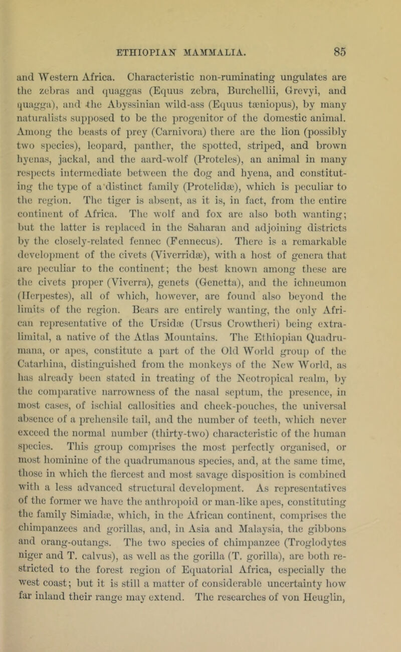 and Western Africa. Characteristic non-ruminating ungulates are the zebras and (juaggas (Equus zebra, Burchellii, Grevyi, and quagga), and tlie Abyssinian wild-ass (E(j[uus tajniopus), by many naturalists supposed to be the progenitor of the domestic animal. Among the beasts of prey (Carnivora) there arc the lion (possibly two si)ecies), leopard, panther, the spotted, striped, and brown hyenas, jackal, and the aard-wolf (Proteles), an animal in many respects intermediate between the dog and hyena, and constitut- ing the type of a‘distinct family (Protelida;), which is peculiar to the region. The tiger is absent, as it is, in fact, from the entire continent of Africa. The wolf and fox are also both wanting; but the latter is re])laeed in the Saharan and adjoining districts by the closely-related fennec (Fennecus). There is a remarkable develo])ment of the civets (Viverridse), with a ho.st of genera that are peculiar to the continent; the best known among these are the civets proper (Viverra), genets (Gcnetta), aiid the ichneumon (I lerpestes), all of which, however, arc found also beyond the limits of the region. Bears are entirely wanting, the only Afri- can representative of the Urskbe (Ursus Crowthcri) being extra- limital, a native of the Atlas Mountains. The Ethiopian Quadru- mana, or apes, constitute a part of the Old World group of the Catarhina, distinguished from the monkeys of the New World, as has already been stated in treating of the Neotrojiical realm, by the comparative narrowness of the nasal septum, the presence, in most cases, of ischial callosities and check-pouches, the universal absence of a prehensile tail, and the number of teeth, which never exceed the normal number (thirty-two) characteristic of the human species. This group comprises the most perfectly organised, or most hommine of the tpiadrumanous species, and, at the same time, those in which the fiercest and most savage disposition is combined Avith a less advanced structural development. As representatives of the former we have the anthroi)oid or man-like apes, constituting the family Simiadtc, which, in the African continent, comprises the chimpanzees and gorillas, and, in Asia and Malaj'sia, the gibbons and orang-outangs. The two species of chimpanzee (Troglodytes niger and T. calvus), as well as the gorilla (T. gorilla), are both re- stricted to the forest region of E(]uatorial Africa, especially the Avest coast; but it is still a matter of considerable uncertainty hoAV far inland their range may extend. The researches of von Ileuglin,