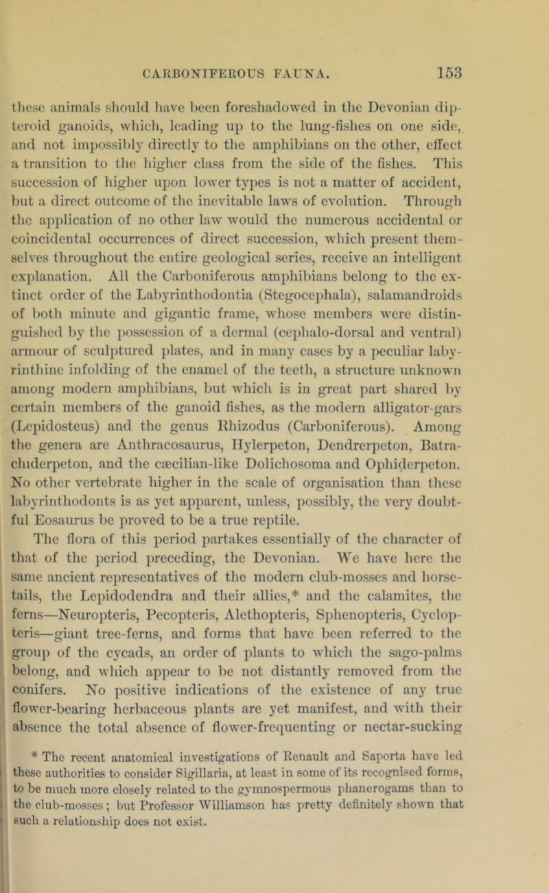 these animals sliould have been foreshadowed in the Devonian dip- teroid ganoids, wliich, leading up to the lung-fishes on one side, and not impossibly directly to the amphibians on the other, elTect a transition to tlic higher class from the side of the fishes. This succession of higlier upon lower types is not a matter of accident, but a direct outcome of the inevitable laws of evolution. Tlirough the application of no other law would the numerous accidental or coincidental occurrences of direct succession, which present them- selves throughout the entire geological series, receive an intelligent explanation. All the Carboniferous amphibians belong to the ex- tinct order of the Labyrinthodontia (Stegocephala), salamandroids of both minute and gigantic frame, whose members were distin- guished by the jiosscssion of a dermal (cephalo-dor.sal and ventral) armour of sculptured i)lates, and in many cases by a peculiar laby- rinthine infolding of the enamel of the teeth, a structure unknown among modern amphibians, but which is in great part shared by certain members of the ganoid fishes, as the modern alligator-gars (Lepidosteus) and the genus Rhizodus (Carboniferous). Among the genera are Anthracosaurus, Ilylerpeton, Dcndreqieton, Batra- chiderpeton, and the csecilian-like Dolichosoma and Ophideqieton. No other vertebrate higher in the scale of organisation than these labyrinthodonts is as yet apparent, unless, possibly, the very doubt- ful Eosaurus be proved to be a true reptile. The flora of this period partakes essentially of the character of that of the period preceding, the Devonian. We have here the same ancient rei)rescntatives of the modern club-mosses and horse- tails, the Lepidodendra and their allies,* and the calamites, the ferns—Neuropteris, Pecopteris, Alethoptcris, Sphenoptcris, Cyclop- tcris—giant tree-ferns, and forms that have been referred to the group of the cycads, an order of plants to whieh the sago-palms belong, and which appear to be not distantly removed from the conifers. No positive indications of the existence of any true flower-bearing herbaceous plants are yet manife.st, and with their absence the total absence of flower-frequenting or nectar-sucking * The recent anatomical investigations of Renault and Sajiorta have led these authorities to consider Sigillaria, at lea.st in some of its rccogni.^ed forms, to be much more closely related to the gymnospermous phanerogams than to the club-mosses; but Professor Williamson has pretty definitely shown that such a relationship does not exist.