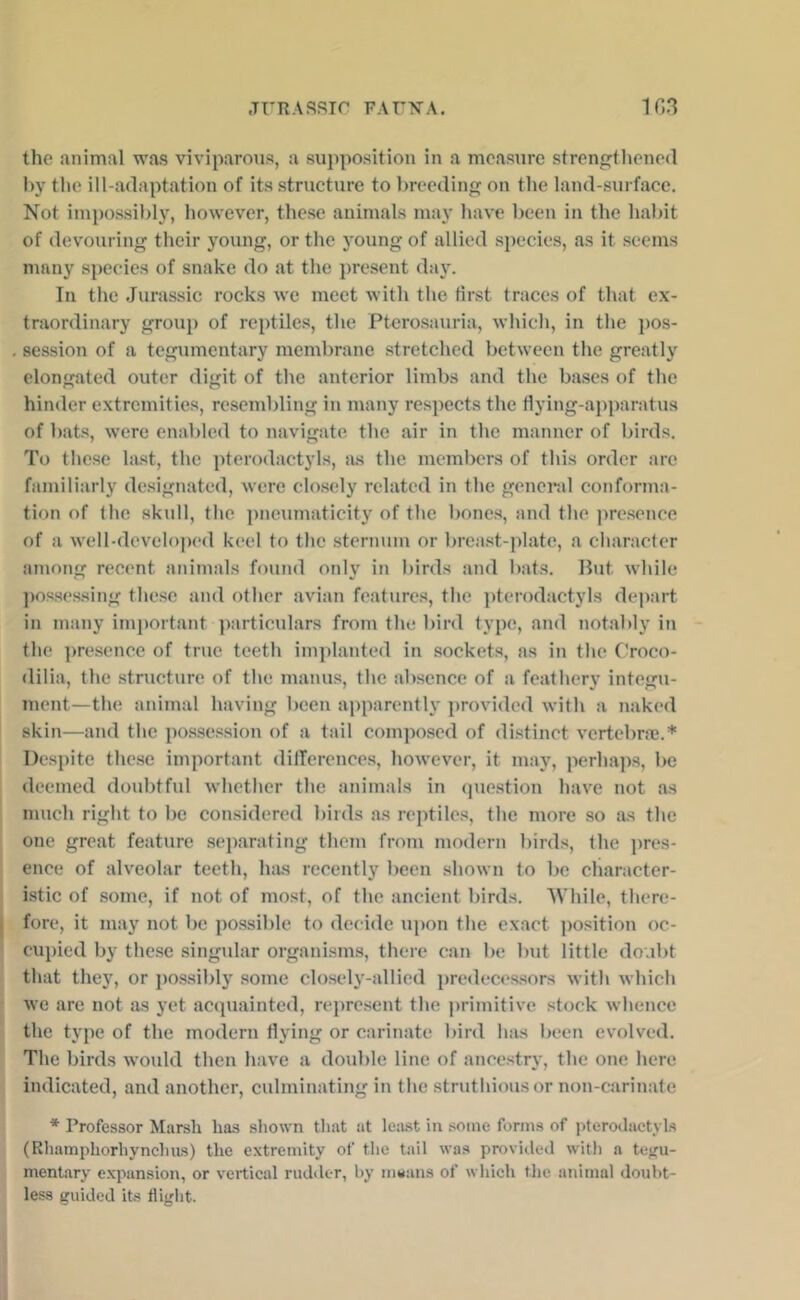 the animal was viviparous, a supposition in a measure strengthened hy the ill-adaptation of its structure to breeding on the land-surface. Not impossibly, however, these animals may have been in the habit of devouring their young, or the young of allied species, as it seems many species of snake do at the present day. In the Jurassic rocks we meet with the first traces of that ex- traordinary group of reptiles, the Pterosauria, which, in the })Os- session of a tegumentary membrane stretched between the greatly elongated outer digit of the anterior limbs and the ba.ses of the hinder extremities, resembling in many respects the flying-apparatus of bats, were enabled to navigate the air in the manner of birds. To those last, the pterodactyls, as the members of this order are familiarly designated, were clo.sely related in the general confonua- tion of the skull, the ])neumaticity of the bone.s, and the presence of a well-developed keel to the sternum or breast-plate, a character among recent animals found only in birds and bats. Rut while possessing these and other avian features, the pterodactyls de])art in many imj)ortant particidars from the bird type, and notably in the ])resence of true teeth implanted in sockets, as in the Croco- dilia, the structure of the manus, the absence of a feathery integu- ment—the animal having been ajiparently provided with a naked skin—and the pos.session of a tail composed of distinct vertebroe.* Despite these important differences, however, it niay, perhaps, be deemed doubtful whether the animals in (pie.stion have not as much right to be considered birds as reptiles, the more so as the one great feature separating them from modern birds, the ])res- ence of alveolar teeth, ha.s recently been shown to be character- istic of some, if not of most, of the ancient birds. While, there- fore, it may not bo possible to decide upon the exact position oc- cupied by these singular organisms, there can be but little do.ibt that they, or possibly some closely-allied pre<lecessors with which we are not as yet acquainted, represent the primitive stock whence the type of the modern flying or carinate bird has been evolved. The birds would then have a double line of ancestry, the one here indicated, and another, culminating in the struthiousor non-carinate * Professor Marsh has shown that at Iciust in some forms of i)terodaetyls (Rhamphorhynchiis) the extremity of the tail was provided witli a tejfu- mentary expansion, or vertieal rudiler, by nittuns of whieh the animal doubt- less guided its flight.