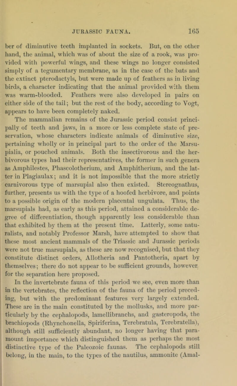 her of diminutive teeth implanted in sockets. But, on the other hand, the animal, which wsis of about the size of a rook, was pro- vided with powerful wings, and these wings no longer consisted simply of a tegumentary membrane, as in the case of the bats and the extinct pterodactyls, but were made up of feathers as in living birds, a character indicating that the animal provided with them was warm-blooded. Feathers were also developed in ])airs on either side of the tail; but the rest of the body, according to Vogt, appears to have been completely naked. The mammalian remains of the Jurassic period consist princi- l)ally of teeth and jaws, in a more or less complete state of pre- servation, whose characters indicate animals of diminutive size, pertaining wholly or in principal part to the order of the Marsu- pialia, or pouched animals. Both the insectivorous and the her- bivorous types had their re[)resentatives, the former in such genera as Amphilcstes, Phascolotherium, and Amphitherium, and the lat- ter in Plagiaulax; and it is not impossible that the more strictly carnivorous type of marsupial also then existed. Stereognathus, further, presents us with the type of a hoofed herbivore, and iioints to a possible origin of the modern placental ungulata. Thus, the marsupials had, as early as this period, attained a considerable de- gree of differentiation, though apparently less considerable than that exhibited by them at the present time. Latterly, some natu- ralists, and notably Professor Marsh, have attempted to show that these most ancient mammals of the Triassic and Jurassic periods were not true marsupials, as these are now recognised, but that they constitute distinct orders, Allotheria and Pantotheria, apart by themselves; there do not appear to be sufficient grounds, however, for the separation here proposed. In the invertebrate fauna of this period we see, even more than in the vertebrates, the reflection of the fauna of the period preced- ing, but with the predominant features very largely extended. These are in the main constituted by the mollusks, and more par- ticularly by the cephalo])ods, lamellibranchs, and gasteropods, the brachiopods (Rhynchonella, S))iriferina, Terebratula, Terebratella), although still sufficiently abundant, no longer having that jiara- mount importance which distinguished them as perhaps the most distinctive type of the Paleozoic faunas. The cephalopods still belong, in the main, to the tyi)es of the nautilus, ammonite (Amal-