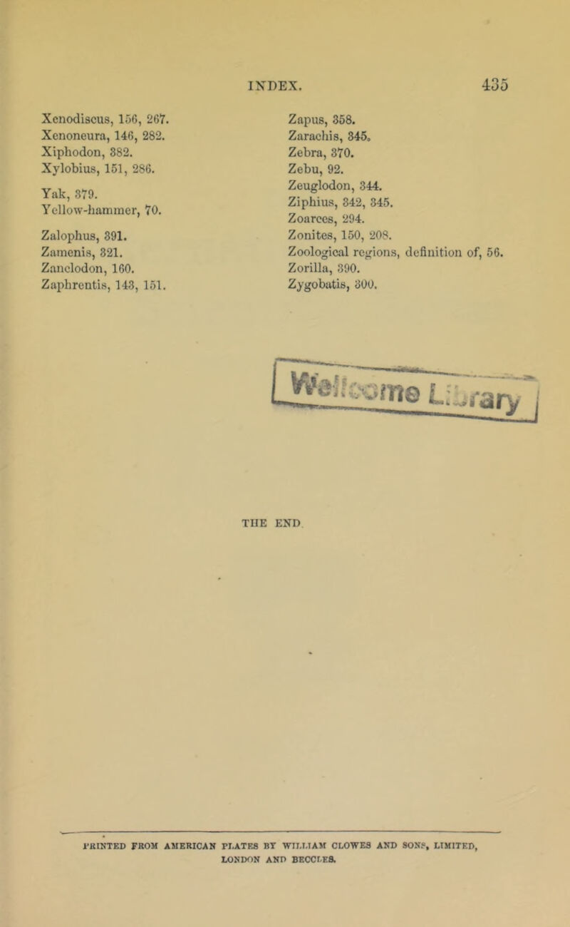 f Xcnodiscus, 156, 267. Xcnoneura, 146, 282. Xiphodon, 382. Xylobius, 151, 286. Yak, 379. Yellow-hammer, 70. Zalophus, 391. Zainenis, 321. Zanclodon, 160. Zaphrenti.s, 143, 151. Zapus, 358. Zaraeliis, 345. Zebra, 370. Zebu, 92. Zeuglodon, 344. Ziphius, 342, 345. Zoarces, 294. Zonites, 150, 208. Zoological regions, definition of, 56. Zorilla, 390. Zygobatis, 300. THE END I’KINTED FROM AMERICAN PIJITES BT WII.T.IAM CLOWES AND SON?, LIMITED, LONDON AND BECCLES.