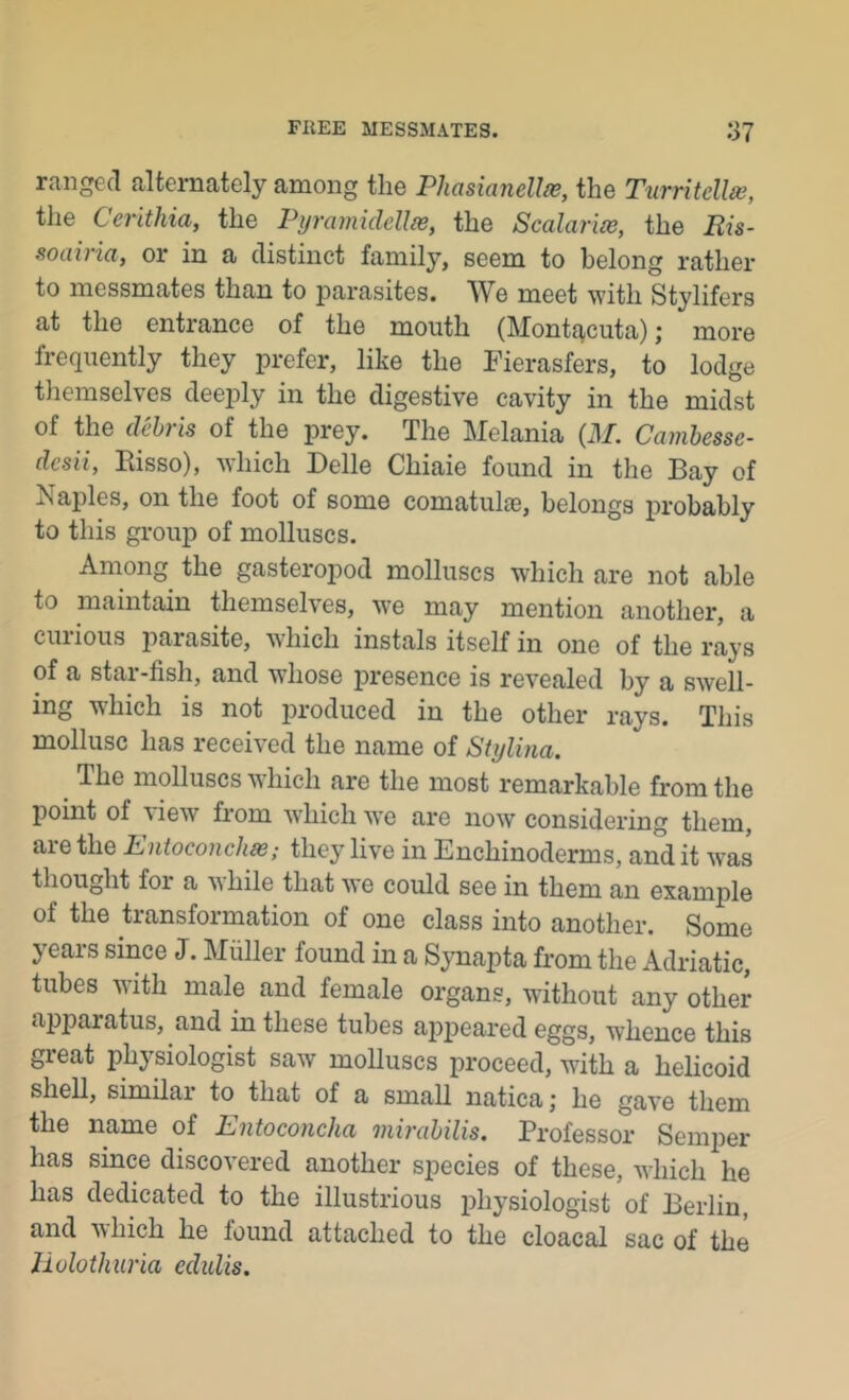 ranged alternately among the Phasianellie, the Turritellse, the Cerithia, the PijramidcUie, the Scalarise, the Rh- soairia, or in a distinct family, seem to belong rather to messmates than to parasites. We meet with Stylifers at the entrance of the mouth (Mont^cuta); more frequently they prefer, like the Fierasfers, to lodge tliemselves deeply in the digestive cavity in the midst of the debris of the prey. Tlie Melania {M. Camhesse- desii, Eisso), which Delle Chiaie found in the Bay of Naples, on the foot of some comatulie, belongs xu-obably to this group of molluscs. Among the gasteropod molluscs which are not able to maintain themselves, we may mention another, a cuiious parasite, which instals itself in one of the rays of a star-fish, and whose presence is revealed by a swell- ing which is not produced in the other rays. This mollusc lias received the name of Stylina. The molluscs v hich are the most remarkable from the point of view from which w’e are now considering them, are the Entoconchas; they live in Enchinoderms, and it w^as thought for a v hile that we could see in them an example of the transformation of one class into another. Some years since J. Muller found in a Synapta from the Adriatic, tubes with male and female organs, without any other apparatus, and in these tubes aiipeared eggs, whence this great physiologist saw molluscs proceed, with a helicoid shell, similar to that of a small natica; he gave them the name of Entoconcha mirahilis. Professor Semper has since discovered another species of these, which he has dedicated to the illustrious physiologist of Berlin, and which he found attached to the cloacal sac of the Jlolothuria edulis.