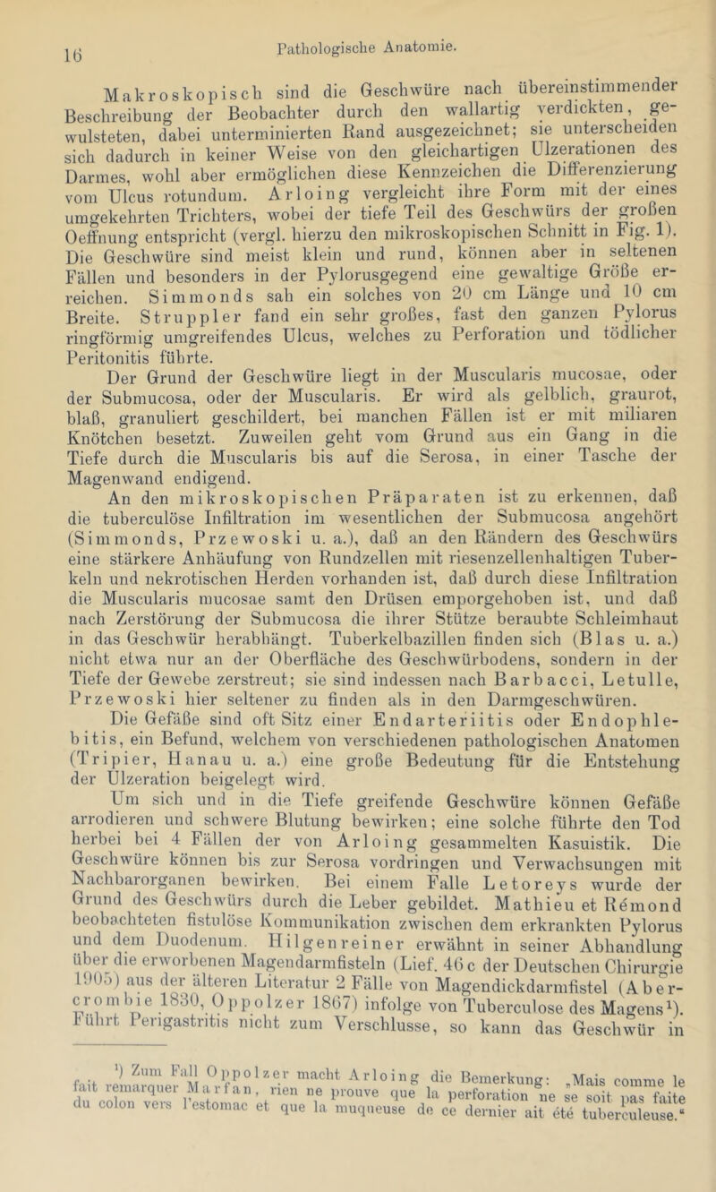 Makroskopisch sind die Geschwüre nach übereinstimmender Beschreibung der Beobachter durch den wallartig verdickten ge- wulsteten, dabei unterminierten Rand ausgezeichnet; sie unterscheiden sich dadurch in keiner Weise von den gleichartigen ülzerationen des Darmes, wohl aber ermöglichen diese Kennzeichen die Differenzierung vom Ulcus rotundum. Arloing vergleicht ihre Form mit der eines umgekehrten Trichters, wobei der tiefe Teil des Geschwürs der großen Oeffnung entspricht (vergl. hierzu den mikroskopischen Schnitt in Fig. 1). Die Geschwüre sind meist klein und rund, können aber in seltenen Fällen und besonders in der Pylorusgegend eine gewaltige Größe er- reichen. Simmonds sah ein solches von 20 cm Länge und 10 cm Breite. Struppler fand ein sehr großes, fast den ganzen Pylorus ringförmig umgreifendes Ulcus, welches zu Perforation und tödlicher Peritonitis führte. Der Grund der Geschwüre liegt in der Muscularis mucosae, oder der Submucosa, oder der Muscularis. Er wird als gelblich, graurot, blaß, granuliert geschildert, bei manchen Fällen ist er mit miliaren Knötchen besetzt. Zuweilen geht vom Grund aus ein Gang in die Tiefe durch die Muscularis bis auf die Serosa, in einer Tasche der Magenwand endigend. An den mikroskopischen Präparaten ist zu erkennen, daß die tuberculöse Infiltration im wesentlichen der Submucosa angehört (Simmonds, Przewoski u. a.), daß an den Rändern des Geschwürs eine stärkere Anhäufung von Rundzellen mit riesenzellenhaltigen Tuber- keln und nekrotischen Herden vorhanden ist, daß durch diese Infiltration die Muscularis mucosae samt den Drüsen emporgehoben ist, und daß nach Zerstörung der Submucosa die ihrer Stütze beraubte Schleimhaut in das Geschwür herabhängt. Tuberkelbazillen finden sich (Blas u. a.) nicht etwa nur an der Oberfläche des Geschwürbodens, sondern in der Tiefe der Gewebe zerstreut; sie sind indessen nach Barbacci, Letulle, Przewoski hier seltener zu finden als in den Darmgeschwüren. Die Gefäße sind oft Sitz einer Endarteriitis oder Endophle- bitis, ein Befund, welchem von verschiedenen pathologischen Anatomen (Tripier, Hanau u. a.) eine große Bedeutung für die Entstehung der Ulzeration beigelegt wird. Um sich und in die Tiefe greifende Geschwüre können Gefäße arrodieren und schwere Blutung bewirken; eine solche führte den Tod herbei bei 4 Fällen der von Arloing gesammelten Kasuistik. Die Geschwüre können bis zur Serosa Vordringen und Verwachsungen mit Nachharorganen bewirken. Bei einem Falle Letoreys wurde der Grund des Geschwürs durch die Leber gebildet. Mathieu et Remond beobachteten fistulöse Kommunikation zwischen dem erkrankten Pylorus und dem Duodenum. Hilgen rein er erwähnt in seiner Abhandlung übei die eiA\orbenen Magendarmfisteln (Lief. 46 c der Deutschen Chirurgie DOo) aus der älteren Literatur 2 Fälle von Magendickdarmfistel (Aber- crombie 1830, Oppolzer 1867) infolge von Tuberculöse des MagensD. fuhrt lengastritis nicht zum Verschlüsse, so kann das Geschwür in Arloing die Bemerkung: „Mais c fait leimirquei Marfan, rien ne prouve que la Perforation ne se soit du colon vers l’estoniac et que la ' comme le l^as faite que la muqueuse de ce dernier ait ete tuberculeuse.“