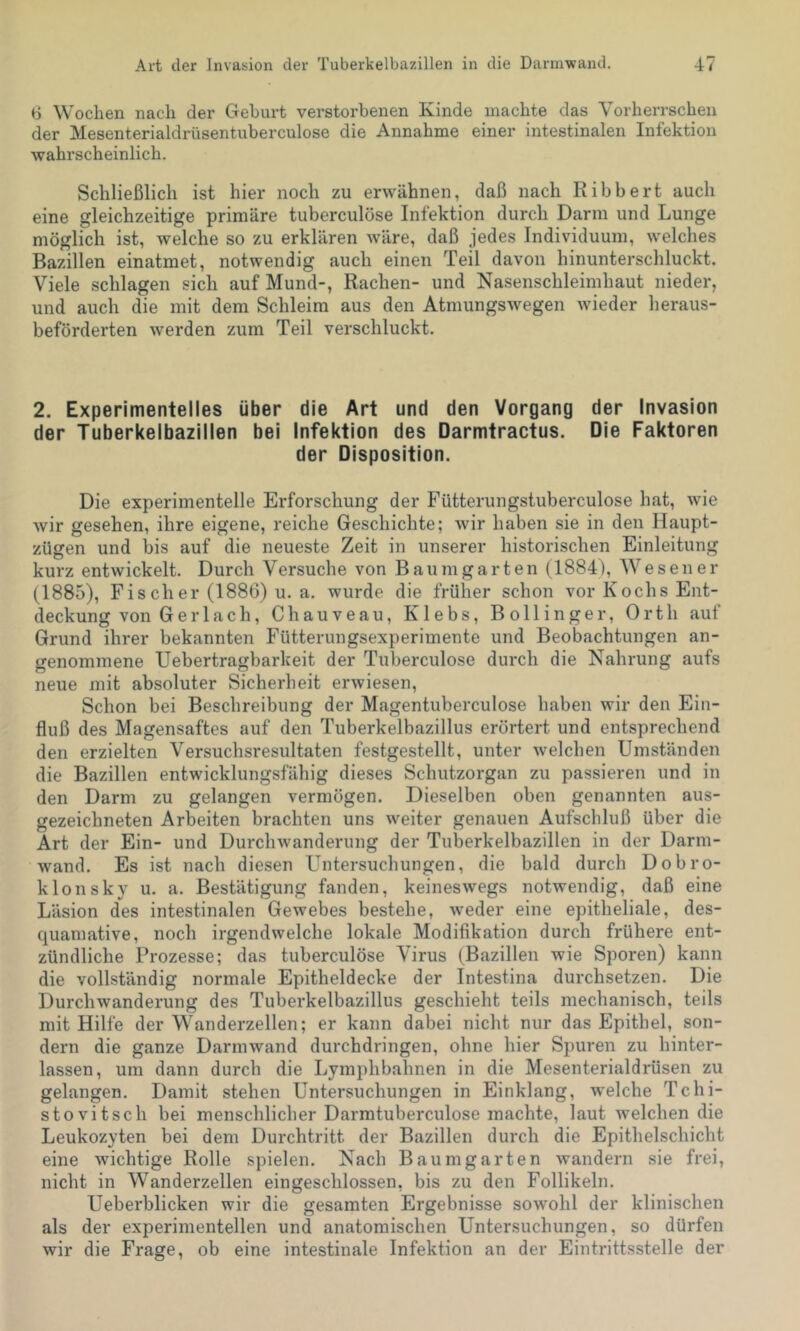 6 Wochen nach der Gehurt verstorbenen Kinde machte das Vorherrschen der Mesenterialdrüsentuberculose die Annahme einer intestinalen Infektion wahrscheinlich. Schließlich ist hier noch zu erwähnen, daß nach Ribbert auch eine gleichzeitige primäre tuberculöse Infektion durch Dann und Lunge möglich ist, welche so zu erklären wäre, daß jedes Individuum, welches Bazillen einatmet, notwendig auch einen Teil davon hinunterschluckt. Viele schlagen sich auf Mund-, Rachen- und Nasenschleirahaut nieder, und auch die mit dem Schleim aus den Atmungswegen wieder heraus- beförderten werden zum Teil verschluckt. 2. Experimentelles über die Art und den Vorgang der Invasion der Tuberkelbaziilen bei Infektion des Darmtractus. Die Faktoren der Disposition. Die experimentelle Erforschung der Fütterungstuberculose hat, wie wir gesehen, ihre eigene, reiche Geschichte; wir haben sie in den Haupt- zügen und bis auf die neueste Zeit in unserer historischen Einleitung kurz entwickelt. Durch Versuche von Baumgarten (1884), Wesener (1885), Fis eher (1886) u. a. wurde die früher schon vor Kochs Ent- deckung von Ger lach, Chauveau, Klebs, Bollinger, Orth auf Grund ihrer bekannten Fütterungsexperimente und Beobachtungen an- genommene Uebertragbarkeit der Tuberculöse durch die Nahrung aufs neue mit absoluter Sicherheit erwiesen. Schon bei Beschreibung der Magentuberculose haben wir den Ein- fluß des Magensaftes auf den Tuberkelbazillus erörtert und entsprechend den erzielten Versuchsresultaten festgestellt, unter welchen Umständen die Bazillen entwicklungsfähig dieses Schutzorgan zu passieren und in den Darm zu gelangen vermögen. Dieselben oben genannten aus- gezeichneten Arbeiten brachten uns weiter genauen Aufschluß über die Art der Ein- und Durchwanderung der Tuberkelbazillen in der Darm- wand. Es ist nach diesen Untersuchungen, die bald durch Dobro- klonsky u. a. Bestätigung fanden, keineswegs notwendig, daß eine Läsion des intestinalen Gewebes bestehe, weder eine epitheliale, des- quamative, noch irgendwelche lokale Modifikation durch frühere ent- zündliche Prozesse; das tuberculöse Virus (Bazillen wie Sporen) kann die vollständig normale Epitheldecke der Intestina durchsetzen. Die Durchwanderung des Tuberkelbazillus geschieht teils mechanisch, teils mit Hilfe der Wanderzellen; er kann dabei nicht nur das Epithel, son- dern die ganze Darmwand durchdringen, ohne hier Spuren zu hinter- lassen, um dann durch die Lymphbahnen in die Mesenterialdrüsen zu gelangen. Damit stehen Untersuchungen in Einklang, welche Tchi- stovitsch bei menschlicher Darmtuberculose machte, laut welchen die Leukozyten bei dem Durchtritt der Bazillen durch die Epithelschicht eine wichtige Rolle spielen. Nach Baumgarten wandern sie frei, nicht in Wanderzellen eingeschlossen, bis zu den Follikeln. Ueberblicken wir die gesamten Ergebnisse sowohl der klinischen als der experimentellen und anatomischen Untersuchungen, so dürfen wir die Frage, ob eine intestinale Infektion an der Eintrittsstelle der