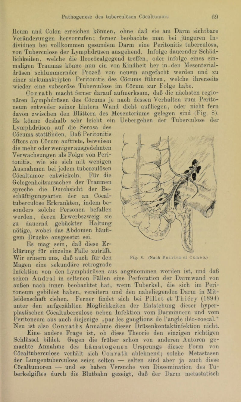 Ileuni und Colon erreichen können, ohne daß sie am Darm sichtbare Veränderungen hervorrufen; ferner beobachte man bei jüngeren In- dividuen bei vollkommen gesundem Darm eine Peritonitis tuberculosa, von Tuberculose der Lymphdrüsen ausgehend. Infolge dauernder Schäd- lichkeiten, welche die lleocöcalgegend tretfen, oder infolge eines ein- maligen Traumas könne nun ein von Kindheit her in den Mesenterial- drüsen schlummernder Prozeß von neuem angefacht werden und zu einer zirkumskripten Peritonitis des Cöcums führen, welche ihrerseits wieder eine subseröse Tuberculose im Cöcum zur Folge habe. Conrath macht ferner darauf aufmerksam, daß die nächsten regio- nären Lymphdrüsen des Cöcums je nach dessen Verhalten zum Perito- neum entweder seiner hintern Wand dicht aufliegen, oder nicht fern davon zwischen den Blättern des Mesenteriums gelegen sind (Fig. 8). Es könne deshalb sehr leicht ein Uebergehen der Tuberculose der Lymphdrüsen auf die Serosa des Cöcums stattfinden. Daß Peritonitis öfters am Cöcum auftrete, beweisen die mehr oder weniger ausgedehnten Verwachsungen als Folge von Peri- tonitis, wie sie sich mit wenigen Ausnahmen bei jedem tuberculösen Cöcaltumor entwickeln. Für die Gelegenheitsursachen der Traumen spreche die Durchsicht der Be- schäftigungsarten der an Cöcal- tuberculose Erkrankten, indem be- sonders solche Personen befallen werden, deren Erwerbszweig sie zu dauernd gebückter Haltung nötige, wobei das Abdomen häufi- gem Drucke ausgesetzt sei. Es mag sein, daß diese Er- klärung für einzelne Fälle zutrifft. Wir erinern uns, daß auch für den Magen eine sekundäre retrogi’ade Infektion von den Lymphdrüsen aus angenommen worden ist, und daß schon Andral in seltenen Fällen eine Perforation der Darm wand von außen nach innen beobachtet hat, wenn Tuberkel, die sich im Peri- toneum gebildet haben, vereitern und den naheliegenden Darm in Mit- leidenschaft ziehen. Ferner findet sich bei Pillet et Thiery (18941 unter den aufgezählten Möglichkeiten der Entstehung dieser hyper- plastischen Cöcaltuberculose neben Infektion vom Darminnern und vom Peritoneum aus auch diejenige „par les ganglions de l’angle ileo-coecal.** Neu ist also Conraths Annahme dieser Drüsenkontaktinfektion nicht. Eine- andere Frage ist, ob diese Theorie den einzigen richtigen Schlüssel bildet. Gegen die früher schon von anderen Autoren ge- machte Annahme des hämatogenen Ursprungs dieser Form von Cöcaltuberculose verhält sich Conrath ablehnend; solche Metastasen der Lungentuberculose seien selten — selten sind aber ja auch diese Cöcaltumoren — und es haben Versuche von Dissemination des Tu- berkelgiftes durch die Blutbahn gezeigt, daß der Darm metastatisch Fig. S. (Xach Poivier et Cuni'*o.)