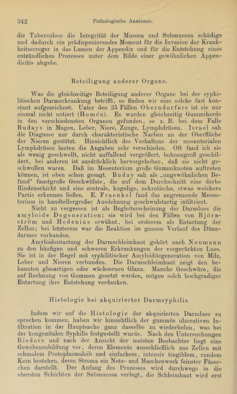 die Tuberculose die Integrität der Mucosa und Submucosa schädige und dadurch ein prädisponierendes Moment für die Invasion der Krank- heitserreger in das Lumen der Appendix und für die Entstehung eines entzündlichen Prozesses unter dem Bilde einer gewöhnlichen Äppen- dicitis abgebe. Beteiligung anderer Organe. Was die gleichzeitige Beteiligung anderer Organe bei der syphi- litischen Darmerkrankung betrifft, so finden wir eine solche fast kon- stant aufgezeichnet. Unter den 25 Fällen Oberndorfers ist sie nur einmal nicht notiert (Homen). Es wurden gleichzeitig Gumm.iherde in den verschiedensten Organen gefunden, so z. B. bei dem Falle Budays in Magen, Leber, Niere, Zunge, Lymphdrüsen. Israel sah die Diagnose nur durch charakteristische Narben an der Oberfläche der Nieren gestützt. Hinsichtlich des Verhaltens der mesenterialen Lymphdrüsen lauten die Angaben sehr verschieden. Oft fand ich sie als wenig geschwellt, nicht auffallend vergrößert, bohnengroß geschil- dert, bei anderen ist ausdrücklich hervorgehoben, daß sie nicht ge- schwollen waren. Daß im Mesenterium große Gummiknoten auftreten können, ist oben schon gesagt. Buday sah als „ungewöhnlichen Be- fund“ faustgroße Geschwülste, die auf dem Durchschnitt eine derbe Rindenschicht und eine zentrale, kugelige, nekrotische, etwas weichere Partie erkennen ließen. E. Fraenkel fand das angrenzende Mesen- terium in handtellergroßer Ausdehnung geschwulstartig infiltriert. Nicht zu vergessen ist als Begleiterscheinung der Darmlues die amyloide Degeneration; sie wird bei den Fällen von Björn- ströni und Hedenius erwähnt, bei ersterem als Entartung der Zellen; bei letzterem war die Reaktion im ganzen Verlauf des Dünn- darmes vorhanden. Amyloidentartung der Darmschleimhaut gehört nach Neumann zu den häufigen und schweren Erkrankungen der vorgerückten Lues. Sie ist in der Regel mit syphilitischer Amyloiddegeneration von Milz, Leber und Nieren verbunden. Die Darmschleimhaut zeigt den be- kannten glasartigen oder wächsernen Glanz. Manche Geschwüre, die auf Rechnung von Gummen gesetzt werden, mögen solch hochgradiger Entartung ihre Entstehung verdanken. Histologie bei akquirierter Darmsyphilis. Indem wir auf die Histologie der akquirierten Darmlues zu sprechen kommen, haben wir hinsichtlich der gummös ulzerativen In- filtration in der Hauptsache ganz dasselbe zu wiederholen, was bei der kongenitalen Syphilis festgestellt wurde. Nach den Untersuchungen Rieders und nach der Ansicht der meisten Beobachter liegt eine Gewebsneubildung vor, deren Elemente ausschließlich aus Zellen mit schmalem Protoplasmaleib und einfachem, intensiv tingiblem, rundem Kern bestehen, deren Stroma ein Netz- und Maschenwerk feinster Fäser- chen darstellt. Der Anfang des Prozesses wird durchwegs in die obersten Schichten der Submucosa verlegt, die Schleimhaut wird erst