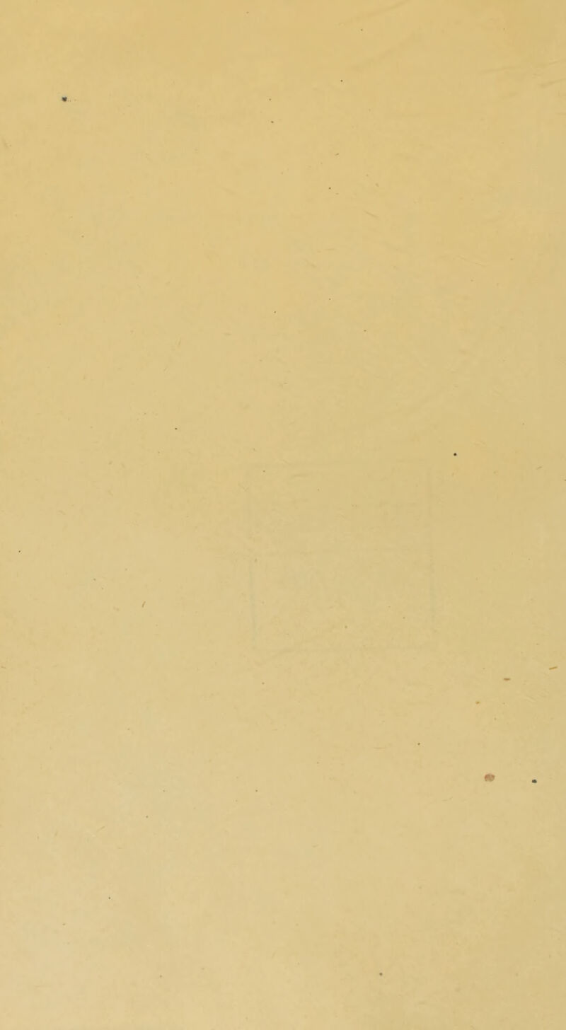 » t - \ 1 k N •« / i> < ( I - ‘A / .V.* - 'J I ^ > * • . / > - A. A > » ♦