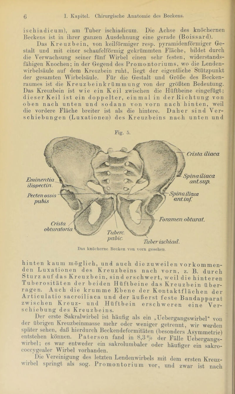 ischiadicum), am Tuber iscbiadicum. Die Acbse des knöchernen J^eckens i.st in ihrer ganzen Ausdehnung eine gerade (Boissard). Das Kreuzbein, von keilförmiger resp. p^u'amidenförmiger Ge- stalt und mit einer schaufelförmig gekrümmten Fläche, bildet durch die Verwachsung seiner fünf Wirbel einen sehr festen, widerstands- fähigen Knochen; in der Gegend des Promontoriums, wo die Lenden- wirbelsäule auf dem Kreuzbein ruht, liegt der eigentliche Stützpunkt der gesamten Wirbelsäule. Für die Gestalt und Größe des Becken- raumes ist die Kreuzbeinkrümmung von der größten Bedeutung. Das Kreuzbein ist wie ein Keil zwischen die Hüftbeine eingefügt; dieser Keil ist ein doppelter, einmal in der Richtung von oben nach unten und sodann von vorn nach hinten, weil die vordere Fläche breiter ist als die hintere. Daher sind Ver- schiebungen (Luxationen) des Kreuzbeins nach unten und Fig. o. Crista üiaca Spinailiaca antsup. Spinailiaca antinf Foramen obturat Tuber ischiad. Pecten ossis puhis Crista obturatoria Emmentia iliopecttn. Das knöcherne Becken von vorn gesehen. hinten kaum möglich, und auch d ie z u weil e n vo r kommen- den Luxationen des Kreuzbeins nach vorn, z. B. durch Sturz auf das Kreuzbein, sind erschwert, weil die hinteren Tuberositäten der beiden Hüftbeine das Kreuzbein über- ragen. Auch die krumme Ebene der Kontaktflächen der Articulatio sacroiliaca und der äußerst feste Bandapparat z A\ 1 s c h e n Kreuz- und PI ü 11 b e i n erschweren eine V e ]■- Schiebung des Kreuzbe ins. Del eiste Sakialwirbel ist häufig als ein ,,UebergangswirbeD von der übrigen Kreuzbeinmasse mehr oder weniger getrennt” wir wei'den später sehen, daß hierdurch Beckendeformitäten (besonders’Asymmetrie) entstehen können. Paterson fand in 8,3 > der Fälle Uebercrano-s- wiibel, es wai entweder ein sakroliimbaler oder häufif'*’er ein sakro- coccygealer Wirbel vorhanden. Die Vereinigung des letzten Lendenwirbels mit dem ersten Kreuz- wirbel springt als sog. Promontorium vor, und zwar ist nach