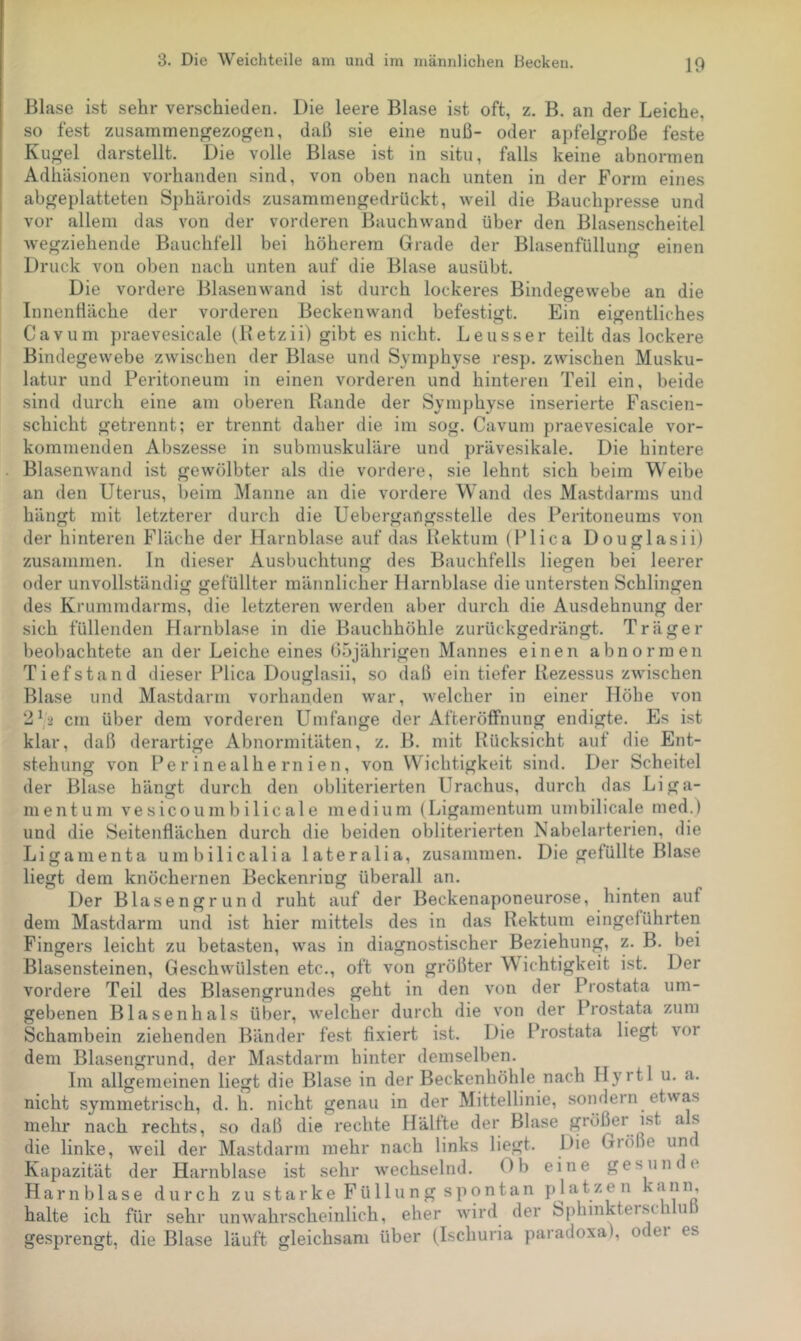 Blase ist sehr verschieden. Die leere Blase ist oft, z, B. an der Leiche, so fest zusammen^ezogen, daß sie eine nuß- oder apfelgroße feste Kugel darstellt. Die volle Blase ist in situ, falls keine abnormen Adhäsionen vorhanden sind, von oben nach unten in der Form eines abgeplatteten Sphäroids zusammengedrückt, weil die Bauchpresse und vor allem das von der vorderen Bauchwand über den Blasenscheitel wegziehende Bauchfell bei höherem Grade der Blasenfüllung einen Druck von oben nach unten auf die Blase ausübt. Die vordere Blasenwand ist durch lockeres Bindegewebe an die Innenßäche der vorderen Beckenwand befestigt. Ein eigentliches Cavum praevesicale (Betzii) gibt es nicht. Leusser teilt das lockere Bindegewebe zwischen der Blase und Symphyse resp. zwischen Musku- latur und Peritoneum in einen vorderen und hinteren Teil ein, beide sind durch eine am oberen Rande der Symphyse inserierte Fascien- schicht getrennt; er trennt daher die im sog. Cavum praevesicale vor- kommenden Abszesse in submuskuläre und prävesikale. Die hintere Blasenwand ist gewölbter als die vordere, sie lehnt sich beim Weibe an den Uterus, beim Manne an die vordere W’and des Mastdarms und hängt mit letzterer durch die Uebergangsstelle des Peritoneums von der hinteren Fläche der Harnblase auf das Rektum (Plica Douglasii) zusammen. In dieser Ausbuchtung des Bauchfells liegen bei leerer oder unvollständig gefüllter männlicher Harnblase die untersten Schlingen des Krummdarms, die letzteren werden aber durch die Ausdehnung der sich füllenden Harnblase in die Bauchhöhle zurückgedrängt. Träger beobachtete an der Leiche eines 05jährigen Mannes einen abnormen Tiefstand dieser Plica Douglasii, so daß ein tiefer Rezessus zwischen Blase und Mastdarm vorhanden war, welcher in einer Höhe von 2^,2 cm über dem vorderen Umfange der Afterötfnung endigte. Es ist klar, daß derartige Abnormitäten, z. B. mit Rücksicht auf die Ent- stehung von Perinealhernien, von Wichtigkeit sind. Der Scheitel der Blase hängt durch den obliterierten Urachus, durch das Liga- mentum vesicoumbilicale medium (Ligamentum umbilicale med.) und die Seitenflächen durch die beiden obliterierten Nabelarterien, die Ligamenta umbilicalia lateralia, zusammen. Die gefüllte Blase liegt dem knöchernen Beckenring überall an. Der Blasengrund ruht auf der Beckenaponeurose, hinten auf dem Mastdarm und ist hier mittels des in das Rektum eingeführten Fingers leicht zu betasten, was in diagnostischer Beziehung, z. B. bei Blasensteinen, Geschwülsten etc., oft von größter Wichtigkeit ist. Der vordere Teil des Blasengrundes geht in den von der Prostata um- gebenen Blasenhals über, welcher durch die von der Prostata zum Schambein ziehenden Bänder fest fixiert ist. Die Prostata liegt vor dem Blasengrund, der Mastdarm hinter demselben. Im allgemeinen liegt die Blase in der Beckenhöhle nach Hyrtl u. a. nicht symmetrisch, d. h. nicht genau in der Mittellinie, sondern etwas mehr nach rechts, so daß die rechte Hälfte der Blase größer ist als die linke, weil der Mastdarm mehr nach links liegt. Die Größe und Kapazität der Harnblase ist sehr wechselnd. Ob eine gesunce Harnblase durch z u s t a r k e F ü 11 u n g s p o n t a n platzen ^ ^ halte ich für sehr unwahrscheinlich, eher wird der Sphinktenschluß gesprengt, die Blase läuft gleichsam über (Ischuria paradoxa), odei es