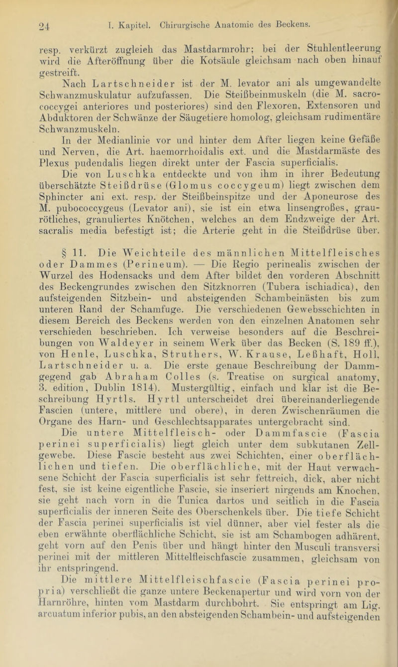resp. verkürzt zugleieb. das Mastdarmrohr; bei der Stuhlentleerung wird die Afterölfnung über die Kotsäule gleichsam nach oben hinauf gestreift. Nach Lartschnei der ist der M. levator ani als umgewandelte Schwanzmuskulatur aufzufassen. Die Steißbeinmuskeln (die M. sacro- coccygei anteriores und posteriores) sind den Flexoren, Extensoren und Abduktoren der Schwänze der Säugetiere homolog, gleichsam rudimentäre Schwanzmuskeln. In der Medianlinie vor und hinter dem After liegen keine Gefäße und Nerven, die Art. haemorrhoidalis ext. und die Mastdarmäste des Plexus pudendalis liegen direkt unter der Fascia superficialis. Die von Luschka entdeckte und von ihm in ihrer Bedeutung überschätzte Steißdrüse (Glomus cocc3^geum) liegt zwischen dem Sphincter ani ext. resp. der Steißbeinspitze und der Aponeurose des M. pubococcygeus (Levator ani), sie ist ein etwa linsengroßes, grau- rötliches, granuliertes Knötchen, welches an dem Endzweige der Art. sacralis media befestigt ist; die Arterie geht in die Steißdrüse über. § 11. Die Weichteile des männlichen Mittel fl eise lies oder Dammes (Perineum). — Die Kegio perinealis zwischen der Wurzel des Hodensacks und dem After bildet den vorderen Abschnitt des Beckengrundes zwischen den Sitzknorren (Tubera ischiadica), den aufsteigenden Sitzbein- und absteigenden Schamheinästen bis zum unteren Rand der Schamfuge. Die verschiedenen Gewebsschichten in diesem Bereich des Beckens werden von den einzelnen Anatomen sehr verschieden beschrieben. Ich verweise besonders auf die Beschrei- bungen von Waldeyer in seinem Werk über das Becken (S. 189 ff.), von Henle, Luschka, Struthers. W. Krause, Leßhaft, Holl. L artscb n eid er u. a. Die erste genaue Beschreibung der Damm- gegend gab Abraham Colles (s. Treatise on surgical anatomy, 3. edition, Dublin 1814). Mustergültig, einfach und klar ist die Be- schreibung Hyrtls. Hyrtl unterscheidet drei übereinanderliegende Fascien (untere, mittlere und obere), in deren Zwischenräumen die Organe des Harn- und Geschlechtsapparates untergehracht sind. Die untere Mittelfleisch- oder Dammfascie (Fascia perin ei superficialis) liegt gleich unter dem subkutanen Zell- gewebe. Diese Fascie besteht aus zwei Schichten, einer oberfläch- lichen und tiefen. Die oberflächliche, mit der Haut verwach- sene Schicht der Fascia superficialis ist sehr fettreich, dick, aber nicht fest, sie ist keine eigentliche Fascie, sie inseriert nirgends am Knochen, sie geht nach vorn in die Tunica dartos und seitlich in die Fascia superficialis der inneren Seite des Oberschenkels über. Die tiefe Schicht der Fascia perinei superßcialis ist viel dünner, aber viel fester als die eben erwähnte oherßächliche Schicht, sie ist am Schambogen adhärent. gebt vorn auf den Penis über und hängt hinter den Musculi transversi perinei mit der mittleren Mittelfleischfascie zusammen, gleichsam von ihr entspringend. Die mittlere Mittelfleischfascie (Fascia perinei pro- j)ria) verschließt die ganze untere Beckenapertur und wird vorn von der Harnröhre, hinten vom Mastdarm durchbohrt. Sie entsprimTf am Lio-. arcuatum inferior pubis, an den absteigenden Schambein- und aufstei<>‘endmi
