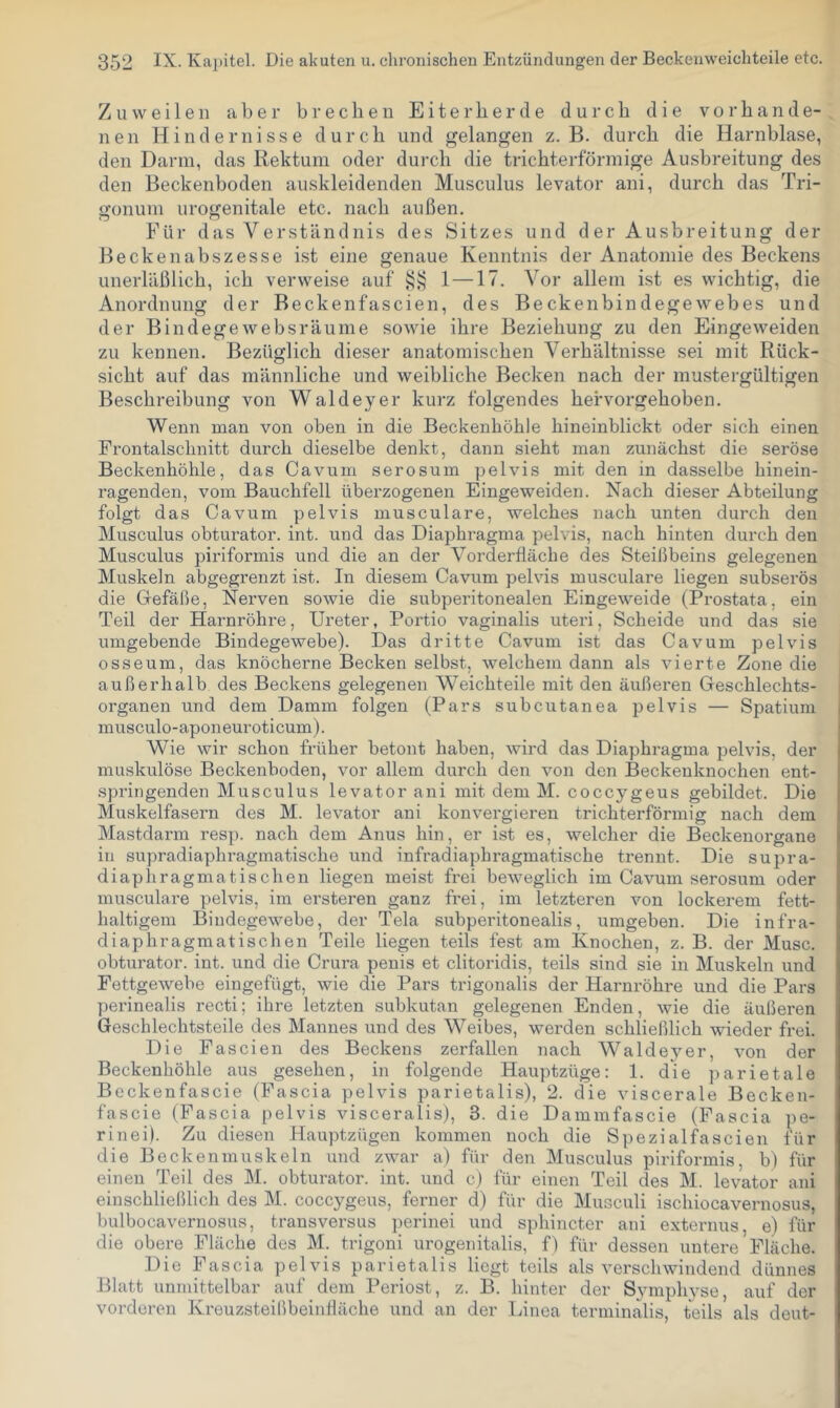 Zuweilen aber brechen Eiterherde durch die vorhande- nen Hindernisse durch und gelangen z. B. durch die Harnblase, den Darm, das Rektum oder durch die trichterförmige Ausbreitung des den Beckenboden auskleidenden Musculus levator ani, durch das Tri- gonum urogenitale etc. nach außen. Für das Verständnis des Sitzes und der Ausbreitung der Beckenabszesse ist eine genaue Kenntnis der Anatomie des Beckens unerläßlich, ich verweise auf §>5 1—17. Vor allem ist es wichtig, die Anordnung der Beckenfascien, des Beckenbindegewebes und der Bindege websräume sowie ihre Beziehung zu den Eingeweiden zu kennen. Bezüglich dieser anatomischen Verhältnisse sei mit Rück- sicht auf das männliche und weibliche Becken nach der mustergültigen Beschreibung von Waldeyer kurz folgendes hefvorgehoben. Wenn man von oben in die Beckenhöhle hineinblickt oder sich einen Prontalschnitt durch dieselbe denkt, dann sieht man zunächst die seröse Beckenhöhle, das Cavum serosum pelvis mit den in dasselbe hinein- ragenden, vom Bauchfell überzogenen Eingeweiden. Nach dieser Abteilung folgt das Cavum pelvis musculare, welches nach unten durch den Musculus obturator. int. und das Diaphragma pelvis, nach hinten durch den Musculus piriformis und die an der Vorderßäche des Steißbeins gelegenen Muskeln abgegrenzt ist. In diesem Cavum pelvis musculare liegen subserös die Gefäße, Nerven sowie die subperitonealen Eingeweide (Prostata, ein Teil der Harnröhre, Ureter, Portio vaginalis uteri, Scheide und das sie umgebende Bindegewebe). Das dritte Cavum ist das Cavum pelvis osseum, das knöcherne Becken selbst, welchem dann als vierte Zone die außerhalb des Beckens gelegenen Weichteile mit den äußeren Geschlechts- organen und dem Damm folgen (Pars subcutanea pelvis — Spatium musculo-aponeui’oticum). Wie wir schon früher betont haben, wird das Diaphragma pelvis, der mu.skulöse Beckenboden, vor allem durch den von den Beckenknochen ent- springenden Musculus levator ani mit dem M. coccygeus gebildet. Die Muskelfasern des M. levator ani konvergieren trichterförmig nach dem Mastdarm resp. nach dem Anus hin, er ist es, welcher die Beckenorgane in supradiaphragmatische und infradiaphragmatische ti*ennt. Die supra- diaphragmatischen liegen meist frei beweglich im Cavum serosum oder musculare pelvis, im ersteren ganz frei, im letzteren von lockerem fett- haltigem Bindegewebe, der Tela subperitonealis, umgeben. Die infra- diaphragmatischen Teile liegen teils fest am Knochen, z. B. der Muse, obturator. int. und die Crura penis et clitoridis, teils sind sie in Muskeln und Fettgewebe eingefügt, wie die Pars trigonalis der Harnröhre und die Pars perinealis recti; ihre letzten subkutan gelegenen Enden, wie die äußeren Geschlechtsteile des Mannes und des Weibes, werden schließlich wieder frei. Die Fas eien des Beckens zerfallen nach Waldeyer, von der Beckenhöhle aus gesehen, in folgende Hauptzüge: 1. die jiarietale Beckenfascie (Fascia pelvis parietalis), 2. die viscerale Becken- fascie (Fascia pelvis visceralis), 3. die Dammfascie (Fascia pe- rinei). Zu diesen Hauptzügen kommen noch die Spezialfas eien für die Beckenmuskeln und zwar a) für den Musculus piriformis, b) für einen Teil des M. obturator. int. und c) für einen Teil des M. levator ani einschließlich des M. coccygeus, ferner d) für die Musculi ischiocavernosus, bulbocavernosus, transversus perinei und sphincter ani e.xternus, e) für die obere Fläche des M. trigoni urogenitalis, f) für dessen untere Fläche. Die Fascia pelvis parietalis liegt teils als verschwindend dünnes Blatt unmittelbar auf dem Periost, z. B. hinter der Symphyse, auf der vorderen Kreuzsteißbeiidläche und an der Linea terminalis, teils als deut-