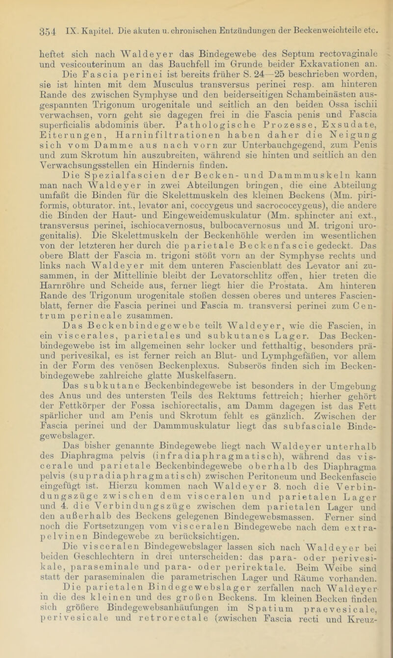 heftet sich nach Wal de y er das Bindegewebe des Septum rectovaginale und vesicouterinum an das Bauchfell im Grunde beider Exkavationen an. Die Fascia perinei ist bereits früher S. 24—25 beschrieben worden, sie ist hinten mit dem Musculus transversus perinei resp. am hinteren Rande des zwischen Symphyse und den beiderseitigen Schambeinästen aus- gespannten Trigonum urogenitale und seitlich an den beiden Ossa ischii verwachsen, vorn geht sie dagegen frei in die Fascia penis und Fascia superficialis abdominis über. Pathologische Prozesse, Exsudate, Eiterungen, Harninfiltrationen haben daher die Neigung sich vom Damme aus nach vorn zur Unterbauchgegeud, zum Penis und zum Skrotum hin auszubreiten, während sie hinten und seitlich an den Verwachsungsstellen ein Hindernis finden. Die Spezialfascien der Becken- i;nd Dammmuskeln kann man nach Waldeyer in zwei Abteilungen bringen, die eine Abteilung umfaßt die Binden für die Skelettmuskeln des kleinen Beckens (Mm. piri- formis, obturator. int., levator ani, cocc5^geus und sacrococc3'geus), die andere die Binden der Haut- und Eingeweidemuskulatur (Mm. sphincter ani ext., transversus perinei, ischiocavernosus, bulbocavernosus und M. trigoui uro- genitalis). Die Skelettmuskeln der Beckenhöhle werden im wesentlichen von der letzteren her durch die parietale Beckenfascie gedeckt. Das obere Blatt der Fascia m. trigoni stößt vorn an der S^unphyse rechts und links nach Waldeyer mit dem unteren Fascienblatt des Levator ani zu- sammen, in der Mittellinie bleibt der Levatorschlitz offen, hier treten die Harnröhre und Scheide aus, ferner liegt hier die Prostata. Am hinteren Rande des Trigonum urogenitale stoßen dessen oberes und unteres Fascien- blatt, ferner die Fascia perinei und Fascia m. transversi perinei zum Cen- trum perineale zusammen. Das Beckenbindegewebe teilt Waldej-er, wie die Fascien, in ein viscerales, parietales und subkutanes Lager. Das Becken- bindegewebe ist im allgemeinen sehr locker und fetthaltig, besonders prä- und perivesikal, es ist ferner reich an Blut- und L3mphgefäßen, vor allem in der Form des venösen Beckenplexus. Subserös finden sich im Becken- bindegewebe zahlreiche glatte Muskelfasern. Das subkutane Beckenbindegewebe ist besonders in der Umgebung des Anus und des untersten Teils des Rektums fettreich; hierher gehört der Fettkörper der Fossa ischiorectalis, am Damm dagegen ist das Fett spärlicher und am Penis und Skrotum fehlt es gänzlich. Zwischen der Fascia perinei und der Dammmuskulatur liegt das subfasciale Binde- gewebslager. Das bisher genannte Bindegewebe liegt nach Walde3’er unterhalb des Diaphragma pelvis (infradiaphragmatisch), während das vis- cerale und parietale Beckenbindegewebe oberhalb des Diaphragma pelvis (supradiaphragmatisch) zwischen Peritoneum und Beckenfascie eingefügt ist. Hierzu kommen nach Wal de 3^ er 3. noch die Verbin- dung s z ü g e zwischen dem visceralen und parietalen Lager und 4. die Verbin dun gszüge zwischen dem parietalen Lager und den außerhalb des Beckens gelegenen Bindegewebsmassen. Ferner sind noch die Fortsetzungen vom visceralen Bindegewebe nach dem extra- pelvinen Bindegewebe zu berücksichtigen. Die visceralen Bindegewebslager lassen sich nach Walde3'er bei beiden Geschlechtern in drei unterscheiden: das para- oder ])eVivesi- kale, ])araseminale und para- oder perirektale. Beim Weibe sind statt der paraseminalen die parametrischen Lager und Räume vorhanden. Die parietalen Bindegewebslager zerfallen nach Waldeyer in die des kleinen und des großen Beckens. Im kleinen Becken linden sich größere Bindegewebsanhäufungen im Spatium praevesi cale, 1) 0 r i V e s i c a 1 e und r e t r 0 r e c t a 1 e (zwischen Fascia recti und Kreuz-