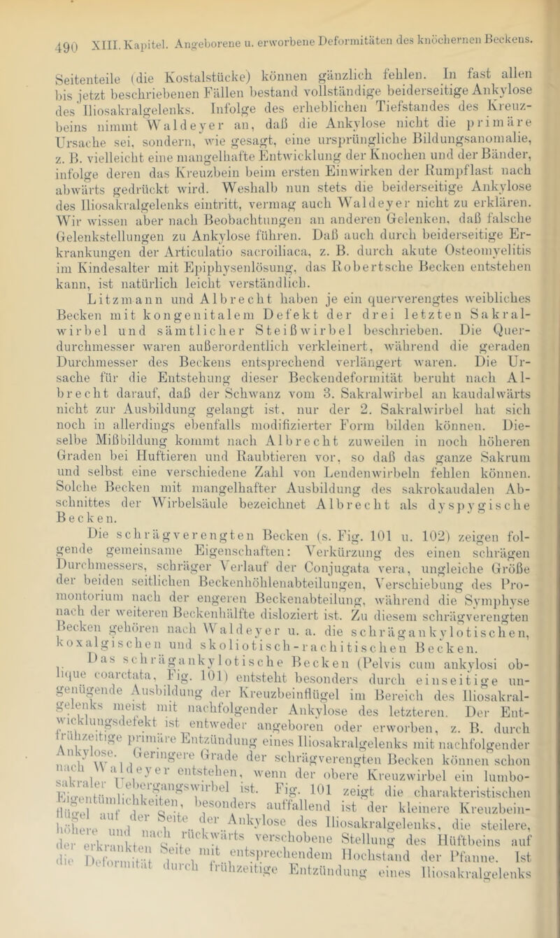 Seitenteile (die Kostalstücke) können gänzlich fehlen. In fast allen bis jetzt beschriebenen Fällen bestand vollständige beiderseitige Ank}dose des'lliosakralgelenks. Infolge des erheblichen Tiefstandes des Kreuz- beins nimmt Waldeyer an, daß die Ankylo.se nicht die primäre Ursache sei, sondern, \vie gesagt, eine ursprüngliche Bildungsanomalie, z. B. vielleicht eine mangelhafte Entwicklung der Knochen und der Bänder, infolge deren das Kreuzbein beim ersten Einwirken der Bumpflast nach abwärts gedrückt wird. Weshalb nun stets die beiderseitige Ankylose des lliosakralgelenks eintritt, vermag auch Waldeyer nicht zu erklären. Wir wissen aber nach Beobachtungen an anderen Gelenken, daß falsche Gelenkstellungen zu Ankylose führen. Daß auch durch beiderseitige Er- krankunsfen der Articulatio sacroiliaca, z. B. durch akute Osteomvelitis im Kindesalter mit Epiphysenlösung, das Bobertsche Becken entstehen kann, ist natürlich leicht verständlich. Litzmann und Al brecht haben je ein querverengtes weibliches Becken mit kongenitalem Defekt der drei letzten Sakral- wirbel und sämtlicher Steiß wirb el beschrieben. Die Quer- durchmesser waren außerordentlich verkleinert, während die geraden Durchmesser des Beckens entsprechend verlängert waren. Die Ur- sache für die Entstehung dieser Beckendeformität beruht nach Al- brecht darauf, daß der Schwanz vom 3. Sakralwirl)el an kaudalwärts nicht zur Ausbildung gelaugt ist. nur der 2. Sakralwirbel hat sich noch in allerdings ebenfalls modifizierter Form bilden können. Die- selbe Mißbildung kommt nach Albrecht zuweilen in noch höheren Graden bei Huftieren und Baubtieren vor. so daß das «ranze Sakrum < ■ O ■ und selbst eine verschiedene Zahl von Lendenwirbeln fehlen können. Solche Becken mit mangelhafter Ausbildung des sakrokaudalen Ab- schnittes der Wirbelsäule bezeichnet Albrecht als dysi)vöfische Becken. ‘ Die schrägverengten Becken (s. Fig. 101 u. 102) zeigen fol- gende gemeinsame Eigenschaften: Verkürzung des einen schrägen Durchmessers, schräger A ejdauf der Conjugata vera, ungleiche Größe dei beiden seitlichen Beckenhöhlenabteilungen, Verschiebung des Fro- inontoiium nach der engeren Beckenabteilung, während die Symphyse nach der weiteren Beckenhältte disloziert ist. Zu diesem schrägverengten ecken gehören nach IValdeyer u. a. die schrägankylotischen, voxalgischen und s k o 1 i o t is ch - r a c h i t i s c h e n Becken. Das schrägankylotisehe Becken (Pelvis cum ankylosi ob- n(ue toaictata, 1 ig. 101) entsteht besonders durch einseitige un- genügende Ausbildung der Kreuzbeinflügel im Bereich des lliosakral- gelenks meist mit nachfolgender Ankylose des letzteren. Der Ent- wic' ungsdetekt ist entweder angeboren oder erworben, z. B. durch lu izei ige piimäie Entzündung eines lliosakralgelenks mit nachfolgender I Grade der schrägverengten Becken können schon \ ^ i PycM entstehen, Avenn der obere Kreuzwirbel ein lunibo- Fmi: hÜ n die charakteristischen fliiM l'esonders auffallend ist der kleinere Kreuzbein- höhere'lun/7i i lliosakralgelenks, die steilere, lo- erl rTi V i Stellung des Hüftbeins auf ■lu' I nd 1 .lo,- l>lanne. Ist, HH,„Untat du.cl, l,ul,«Mt,,o;o Entzündunn eines lliosakralffelenks