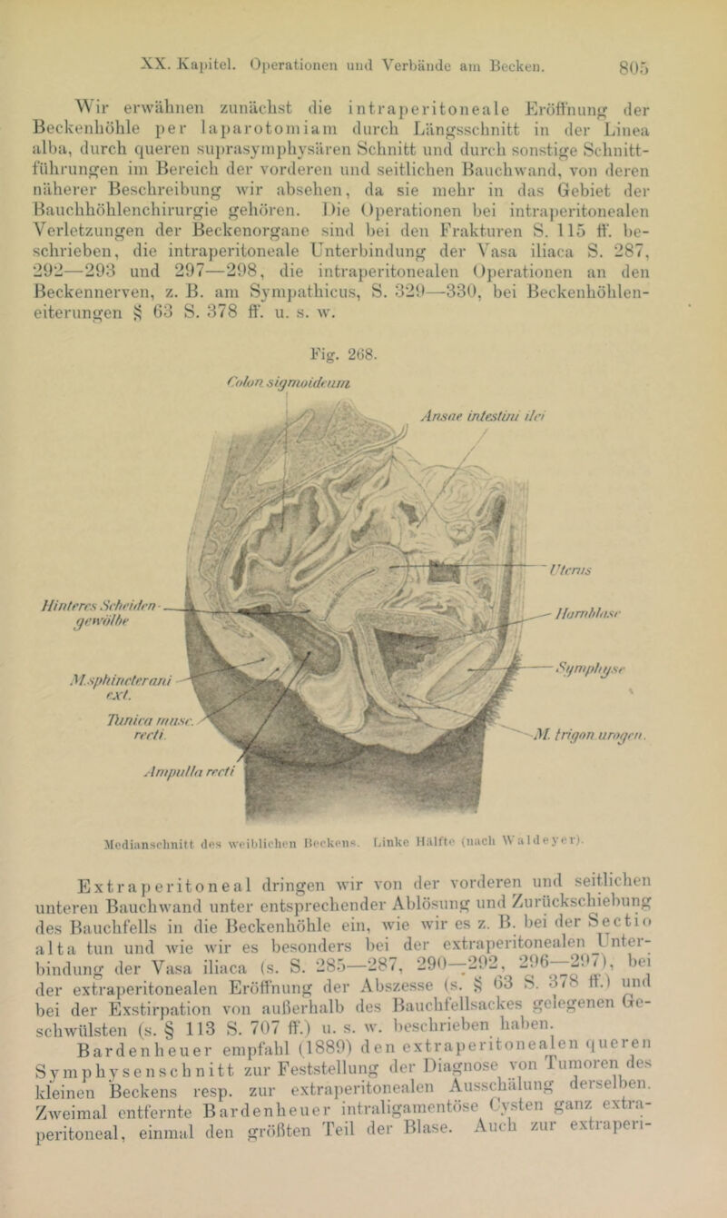 Wir erwähnen zunächst die intraperitoneale Eröffnung der Beckenhöhle per laparotoiniani durch Längsschnitt in der Linea alba, durch queren su])rasyinphysären Schnitt und durch sonstige Schnitt- führun^en ini Bereich der vorderen und seitlichen Bauchwand, von deren näherer Beschreibung wir absehen, da sie mehr in das Gebiet dei* Bauchhöhlenchirurgie gehören. Die Operationen bei intraperitonealen Verletzungen der Beckenorgane sind bei den Frakturen S. 115 11‘. be- schrieben, die intraperitoneale Unterbindung der Vasa iliaca S. 287, 292—298 und 297—298, die intraperitonealen Operationen an den Beckennerven, z. B. am Sympathicus, S. 329—330, bei Beckenhöhlen- eiterungen 63 S. 378 fl‘. u. s. w. Fiff. 268. Cdhri siymoidtnrri An^ne intestuü iiri Hinteres Scheiden- getviUhe . yi. sphineterani ext. Thnica rrnisc. ree/i ’^i/nifdiysc M. trignn uroqrn. Anipalln recti f Mediansclinitt dos wt'iblicluMi Itockoii^. Linke HiUttp (nach Waldcjoi)- Extraj)eritoneal dringen wir von der vorderen und seitlichen unteren Bauchwand unter entsprechender Ablösung und /urückschiebung des Bauchfells in die Beckenhöhle ein, wie wir es z. B. bei der Sectio alta tun und Avie wir es besonders bei der extraperitonealen J- iitei- bindung der Vasa iliaca (s. S. 285—287, 290—292, der extraperitonealen Eröffnung der Abszesse (s. 63 S. oi. n.) und bei der Exstirpation von außerlialb des Bauchfellsackes gelegenen Ge- sclnvülsten (s. § 113 S. 707 ff.) u. s. w. beschrieben haben Bardenheuer empfahl (1889) den cxtra})eritonealen (juei en S y m ]) h y s e n s c h n i 11 zur Feststellung der Diagnose von Tumoren des kleinen Beckens resp. zur extra]ieritonealen Ausschalung derselben. Zweimal entfernte Bardenheuer intraligamentöse Cysten ganz extra- peritoneal, einmal den grfißten Teil der Blase. Auch zur extraperi-