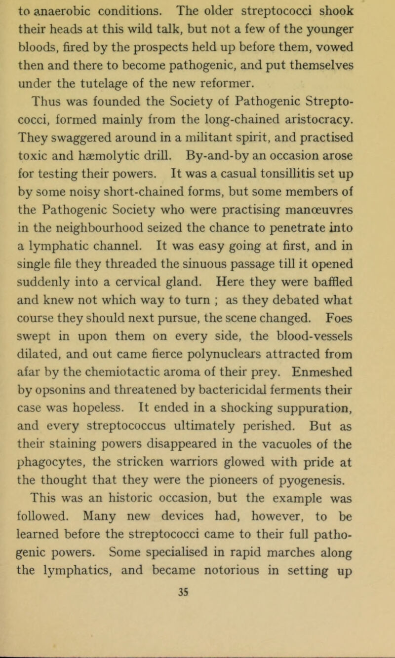 to anaerobic conditions. The older streptococci shook their heads at this wild talk, but not a few of the younger bloods, fired by the prospects held up before them, vowed then and there to become pathogenic, and put themselves under the tutelage of the new reformer. Thus was founded the Society of Pathogenic Strepto- cocci, formed mainly from the long-chained aristocracy. They swaggered around in a militant spirit, and practised toxic and haemolytic drill. By-and-by an occasion arose for testing their powers. It was a casual tonsillitis set up by some noisy short-chained forms, but some members of the Pathogenic Society who were practising manoeuvres in the neighbourhood seized the chance to penetrate into a lymphatic channel. It was easy going at first, and in single file they threaded the sinuous passage till it opened suddenly into a cervical gland. Here they were baffled and knew not which way to turn ; as they debated what course they should next pursue, the scene changed. Foes swept in upon them on every side, the blood-vessels dilated, and out came fierce polynuclears attracted from afar by the chemiotactic aroma of their prey. Enmeshed by opsonins and threatened by bactericidal ferments their case was hopeless. It ended in a shocking suppuration, and every streptococcus ultimately perished. But as their staining powers disappeared in the vacuoles of the phagocytes, the stricken warriors glowed with pride at the thought that they were the pioneers of pyogenesis. This was an historic occasion, but the example was followed. Many new devices had, however, to be learned before the streptococci came to their full patho- genic powers. Some specialised in rapid marches along the lymphatics, and became notorious in setting up