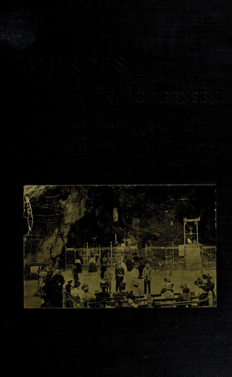 m ij8 i^isi ^HT: .jh ? • <> f-msgmtmmi £s5^i *