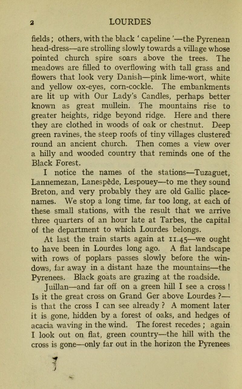 fields; others, with the black ‘ capeline ’—the Pyrenean head-dress—are strolling slowly towards a village whose pointed church spire soars above the trees. The meadows are filled to overflowing with tall grass and flowers that look very Danish—pink lime-wort, white and yellow ox-eyes, corn-cockle. The embankments are lit up with Our Lady’s Candles, perhaps better known as great mullein. The mountains rise to greater heights, ridge beyond ridge. Here and there they are clothed in woods of oak or chestnut. Deep green ravines, the steep roofs of tiny villages clustered round an ancient church. Then comes a view over a hilly and wooded country that reminds one of the Black Forest. I notice the names of the stations—Tuzaguet, Lannemezan, Lanesp6de, Lespouey—to me they sound Breton, and very probably they are old Gallic place- names. We stop a long time, far too long, at each of these small stations, with the result that we arrive three quarters of an hour late at Tarbes, the capital of the department to which Lourdes belongs. At last the train starts again at 11.45—we ought to have been in Lourdes long ago. A flat landscape with rows of poplars passes slowly before the win- dows, far away in a distant haze the mountains—the Pyrenees. Black goats are grazing at the roadside. Juillan—and far off on a green hill I see a cross ! Is it the great cross on Grand Ger above Lourdes ?— is that the cross I can see already ? A moment later it is gone, hidden by a forest of oaks, and hedges of acacia waving in the wind. The forest recedes ; again I look out on flat, green country—the hill with the cross is gone—only far out in the horizon the Pyrenees