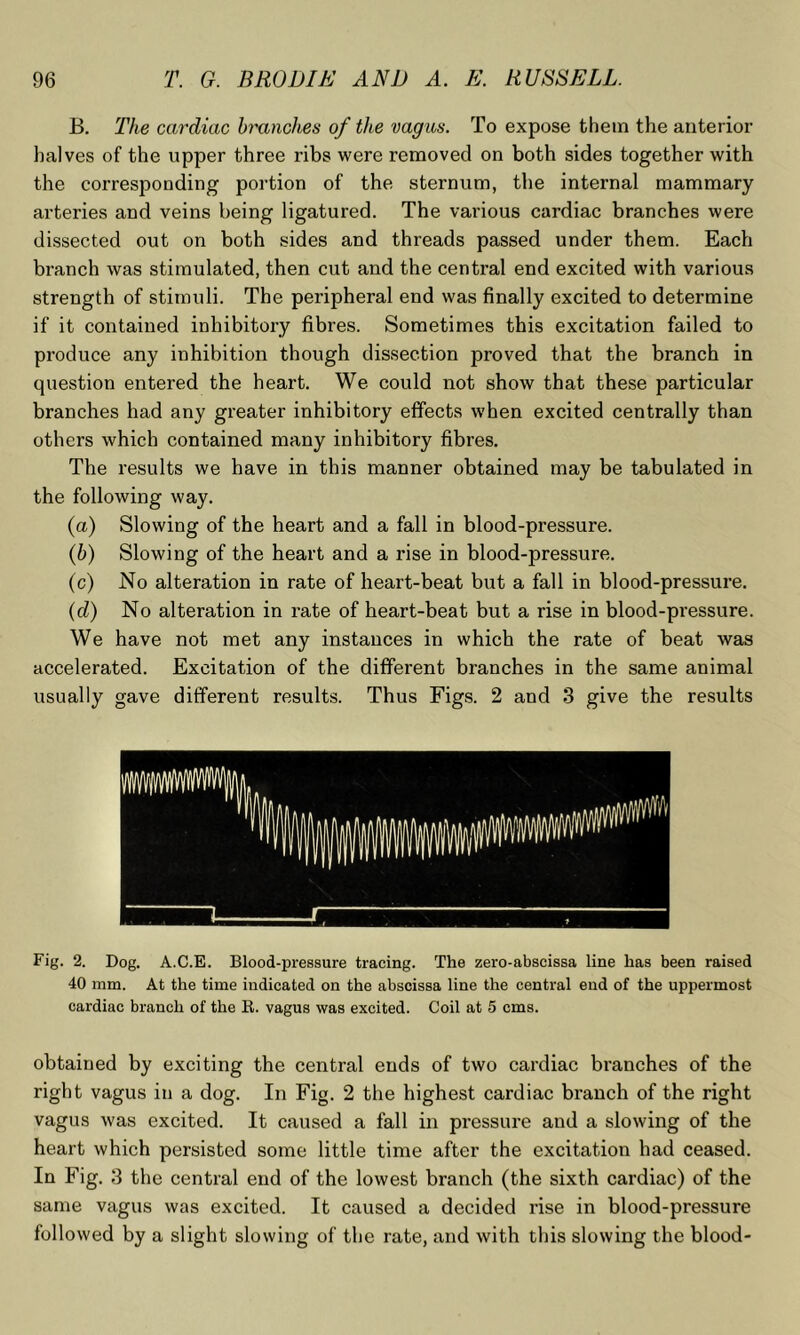 B. The cardiac branches of the vagus. To expose them the anterior halves of the upper three ribs were removed on both sides together with the corresponding portion of the sternum, the internal mammary arteries and veins being ligatured. The various cardiac branches were dissected out on both sides and threads passed under them. Each branch was stimulated, then cut and the central end excited with various strength of stimuli. The peripheral end was finally excited to determine if it contained inhibitory fibres. Sometimes this excitation failed to produce any inhibition though dissection proved that the branch in question entered the heart. We could not show that these particular branches had any greater inhibitory effects when excited centrally than others which contained many inhibitory fibres. The results we have in this manner obtained may be tabulated in the following way. (a) Slowing of the heart and a fall in blood-pressure. (b) Slowing of the heart and a rise in blood-pressure. (c) No alteration in rate of heart-beat but a fall in blood-pressure. (d) No alteration in rate of heart-beat but a rise in blood-pressure. We have not met any instances in which the rate of beat was accelerated. Excitation of the different branches in the same animal usually gave different results. Thus Figs. 2 and 3 give the results Fig. 2. Dog. A.C.E. Blood-pressure tracing. The zero-abscissa line has been raised 40 mm. At the time indicated on the abscissa line the central end of the uppermost cardiac branch of the R. vagus was excited. Coil at 5 cms. obtained by exciting the central ends of two cardiac branches of the right vagus in a dog. In Fig. 2 the highest cardiac branch of the right vagus was excited. It caused a fall in pressure and a slowing of the heart which persisted some little time after the excitation had ceased. In Fig. 3 the central end of the lowest branch (the sixth cardiac) of the same vagus was excited. It caused a decided rise in blood-pressure followed by a slight slowing of the rate, and with this slowing the blood-