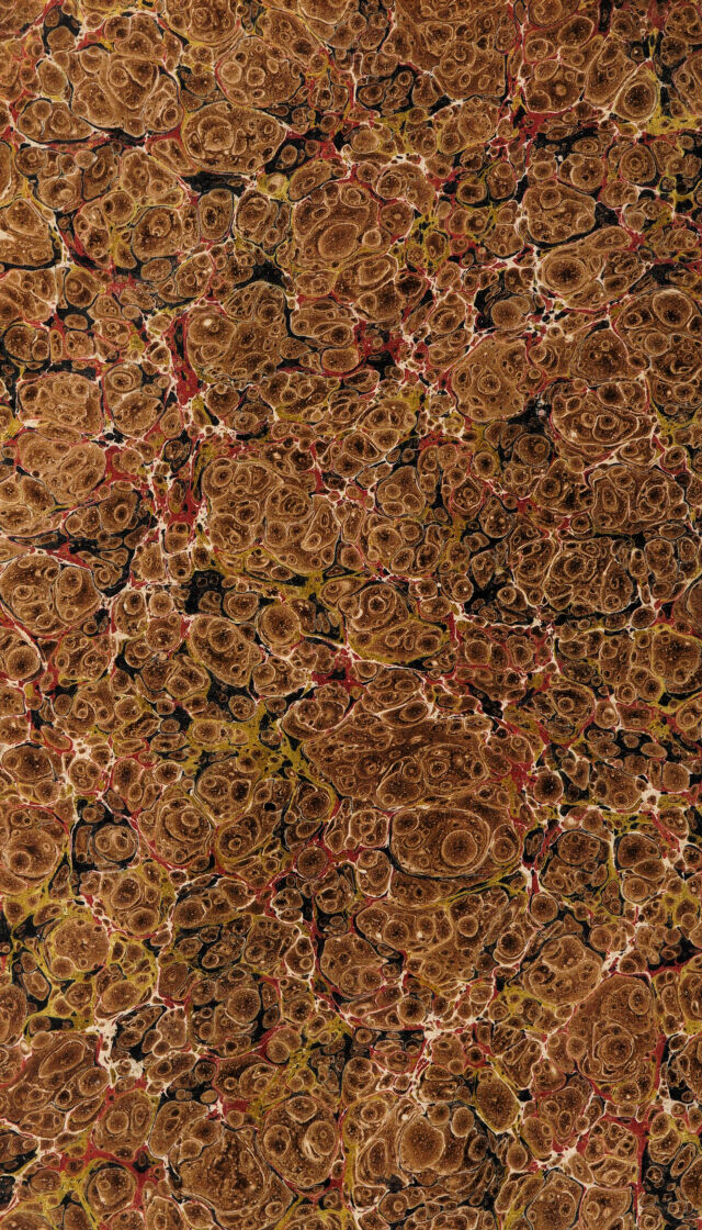 digitised image 2