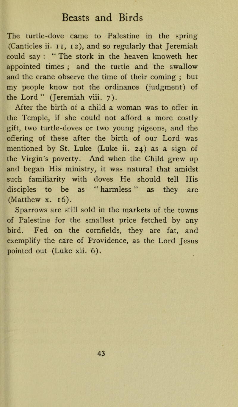 The turtle-dove came to Palestine in the spring (Canticles ii. 11, 12), and so regularly that Jeremiah could say : “ The stork in the heaven knoweth her appointed times ; and the turtle and the swallow and the crane observe the time of their coming ; but my people know not the ordinance (judgment) of the Lord ” (Jeremiah viii. 7), After the birth of a child a woman was to offer in the Temple, if she could not afford a more costly gift, two turtle-doves or two young pigeons, and the offering of these after the birth of our Lord was mentioned by St. Luke (Luke ii. 24) as a sign of the Virgin’s poverty. And when the Child grew up and began His ministry, it was natural that amidst such familiarity with doves He should tell His disciples to be as “ harmless ” as they are (Matthew x. 16). Sparrows are still sold in the markets of the towns of Palestine for the smallest price fetched by any bird. Fed on the cornfields, they are fat, and exemplify the care of Providence, as the Lord Jesus pointed out (Luke xii. 6).