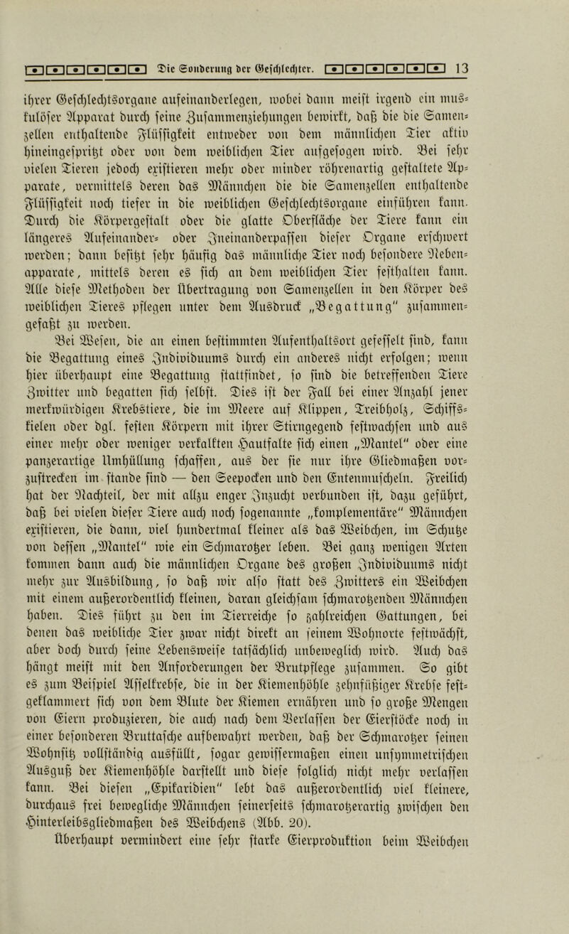 i()ver ®efd)Iecl)t§ürganc aufeiimnberlegen, luobei bann nieift ivgenb ein inu§* fidöfev ^(vpnvat burd) feine 3iiüiiiimen5iei)nngen beinivf't, baß bie bie ©amen* seilen entf)altenbe fyliiffist’eit entineber non bem innnnlid)en Jier aftiu bineingefpvi^t ober uon bem meiblidjen 3::iev anfgefogen rairb. 33ei feßr uielen Stieren febod) eyiftieren ineßr ober ininber rößrenartig geftnltete 2lp* parate, uermittelg bereu ba§ 9)]ännd)en bie bie ©amensellen entßaltenbe (^lüffigt'eit nod) tiefer in bie meit)Ud)en @efd)Ied)t§organe einfnßren f'ann. Stnrd) bie ^lörpergeftatt ober bie glatte Dberfläd)e ber Stiere fann ein längeres 2lnfeinanber* ober biefer Organe erfd)ioert luerben; bann befißt fel}r ßänfig baS männlid)e Stier nod) befonbere 'Stieben* apparnte, mittels bereu eS fid) an bem iüeiblid)en Stier feftljalten fann. ■iHlle biefe 5)ietl)oben ber Übertragung uon ©amensellen in ben .il'örper beS ioeibtid)en Stieres pflegen unter bem SluSbrud „Begattung sufammen* gefaßt 511 luerben. ■iöei 3Befen, bie an einen beftimmten 2tnfentl}altSort gefeffelt finb, fann bie ^Begattung eines ^’i^iwibnumS burd) ein anbereS nid)t erfolgen; lueiin f)ier überßanpt eine ^Begattung ftattfinbet, fo finb bie betreffenben Stiere 3nntter nnb begatten fid) felbft. StieS ift ber fyaU bei einer Slnjafil jener merfiuürbigen Krebstiere, bie im SDieere auf Klippen, Streibl)ol5, ©d)iffS* fielen ober bgl. feften Körpern mit ißrer ©tirngegenb feftiuacßfen nnb auS einer meßr ober roeniger uerfalften .^autfalte fid) einen „SDIantel ober eine panserartige Umßüllung fd)affen, auS ber fie nur it)re ©liebmaßen uor* jiiftreden im ftanbe finb — ben ©eepoden nnb ben ©ntenmufcßeln. f^reilid) l)at ber Üfac^teil, ber mit allsu enger 3i^5ud)t uerbunben ift, baju geführt, baß bei uielen biefer Stiere and) nod) fogenannte „fomplcmentäre SRänneßen es'iftieren, bie bann, uiel ßnnbertmal fleiner als baS SBeibeßen, im ©^nße uon beffen „SOIantel roie ein ©d)maroßer leben. SBei gang luenigen 2lrten fommen bann and) bie männlicßen Organe beS großen 3^^^iüibunmS nid)t meßr jur 3fuSbilbung, fo baß mir alfo ftatt beS 3iüiücrS ein SBeibd)en mit einem außerorbentlid) fleinen, baran gleid)fam fd)maroßenben 9)lännd)en ßnben. StieS fnßrt 511 ben im Stierreid)e fo r)nl)lreid)en ©attungen, bei benen baS roeibtid)e 2:ier jiuar nießt bireft an [einem SBoßnorte feftiuäcßft, aber bod) burd) feine SebenSroeife tatfäd)lid) nnbeiueglid) luirb. 2tud) baS ßängt meift mit ben Sfnforberungen ber S3rutpflege sufammen. ©0 gibt eS sum ^eifpiel 2fffelf'rebfe, bie in ber Kiemenßößle seßnfüßiger Krebfe feft* geflammert fieß uon bem SBlute ber Kiemen ernäßren nnb fo große SOfengen uon @iern probusieren, bie and) nad) bem 23erlaffen ber ©ierftöde nod) in einer befonberen SBruttafeße anfbeiuaßrt rcerben, baß ber ©d)maroßer feinen Soßnfiß uollftänbig auSfüUt, fogar geiuiffermaßen einen unfi)mmetrifd)en SfuSguß ber Kiemenßößle barftellt nnb biefe folglid) nid)t meßr uerlaffen fann. 33ei biefen „©pifaribien lebt baS außerorbentlid) uiel fleinere, bureßauS frei beiueglid)e 9}?ännd)en feinerfeitS fc^marotjerartig snnfd)en ben ^interleibSgliebmaßen beS SBeibeßenS (Slbb. 20), Überßaupt uerminbert eine feßr ftarfe ©ierprobnftion beim 3Beibd)en