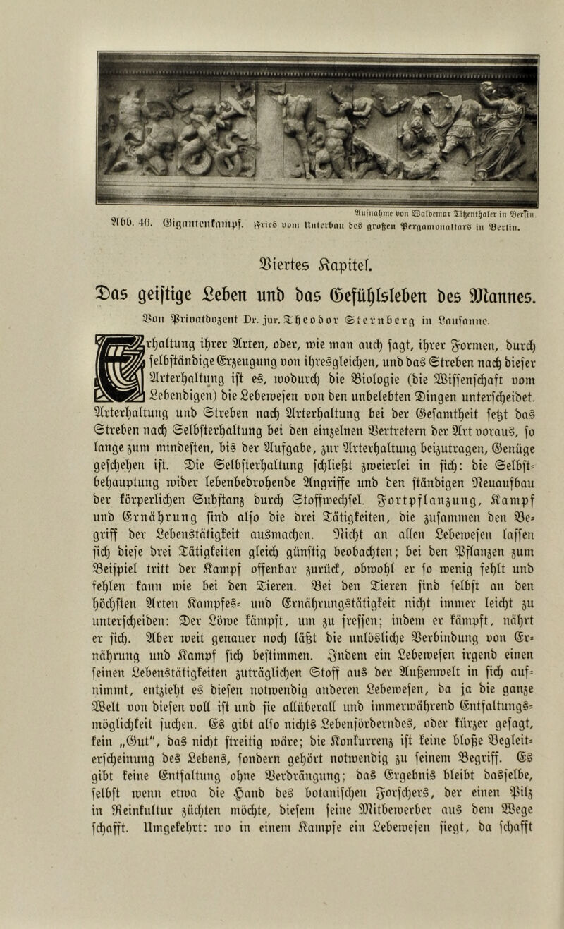 93iertc6 ^lapitel. Das geiftige £eben unb bas (Gefühlsleben bes 9Jlannes. ä'üit ^?viimtbüäcnt Dr. jur. $:fjcobov ©tcvnficvg in i^nufnnnc. r^Itung i^rer Slrten, ober, roie man aud^ jagt, it)rei’ j^ormen, burc^ jelbjlänbigeSrjeugung non if)i'e§gteid)en, unb ba§ Streben nac^ biejer Strter^Itung ift e§, moburc^ bie ^Biologie (bie 3Bifjenj(i)aft uom Sebenbigen) bie Seberoejen non ben unbelebten 3)ingen unterjct)eibet. 9lrterl)altung unb Streben narf) Slrter^ltung bei ber ®ejamtt)eit je^t ba§ Streben nacl) Selbjterf)altung bei ben einjelnen 95ertretern ber 3lrt Dorau§, jo lange jum minbeften, bi§ ber 2tufgabe, jur 2lrtert)altung beiäutragen, ©enüge gejcl)el)en ift. S)ie Selbfterl)altung fd)lie§t jroeierlei in fid): bie Selbft= bef)auptung roiber lebenbebro^enbe Slngriffe unb ben ftönbigen Dleuaufbau ber förperlic^en Subftanj burc^ Stoffmed^jel. ^^ortpflanjung, Äampf unb @rnäl)rung finb alfo bie brei Sätigfeiten, bie jufammeu ben 33e» griff ber Seben§tätig!eit au§mad)en. 9iid)t an allen Sebemefen laffeu fid) biefe brei Stätigfeiten gleich flünftig beoba(^ten; bei ben ^pflanjen jum 33eifpiel tritt ber ^anipf offenbar jurüd, obrool)t er fo roenig fet)lt unb fel)len fann roie bei ben Stieren. Sei ben SSieren finb felbft an ben l)öd)ften 2Irten ^anipfe§=^ unb (Srnäl)rung§tätigfeit nid)t immer teid)t ju unterfd)eiben: SDer Söroe fämpft, um §u freffen; inbem er fämpft, näl)rt er fid). Slber meit genauer nod) In^t bie unlöSlidje Serbinbung non (£r* näl)rung unb ^ampf fid) beftimmen. 3ni>em ein Sebemefen irgenb einen feinen Seben§tätigl’eiten 5uträglid)en Stoff au§ ber 2lu§enmelt in fid^ auf= nimmt, entjiel)t e§ biefen notmenbig anbereu Sebemefen, ba ja bie ganse SBelt non biefen ooll ift unb fie allüberall unb immermäl)renb @ntfaltung§= möglii^feit fu(^en. gibt alfo nid)t§ Sebenförbernbe§, ober fürjer gefagt, fein „©ut“, ba§ nid)t fireitig märe; bie i^onturrenj ift feine blo|e Segleit* erfd)einung be§ Seben§, fonbern gef)ört notmenbig 511 feinem Segriff. gibt feine Entfaltung oi^ne Serbrängung; ba§ Ergebnis bleibt baSfelbe, felbft menu etma bie ^anb beS botanifd)en 3^orfd)er§, ber einen ^pilj in fHeinfultur 3Üd)ten mö(^te, biefem feine fUiitbemerber au§ bem SBege fd)afft. Umgefef)rt; mo in einem Kampfe ein Sebemefen fiegt, ba fd)afft