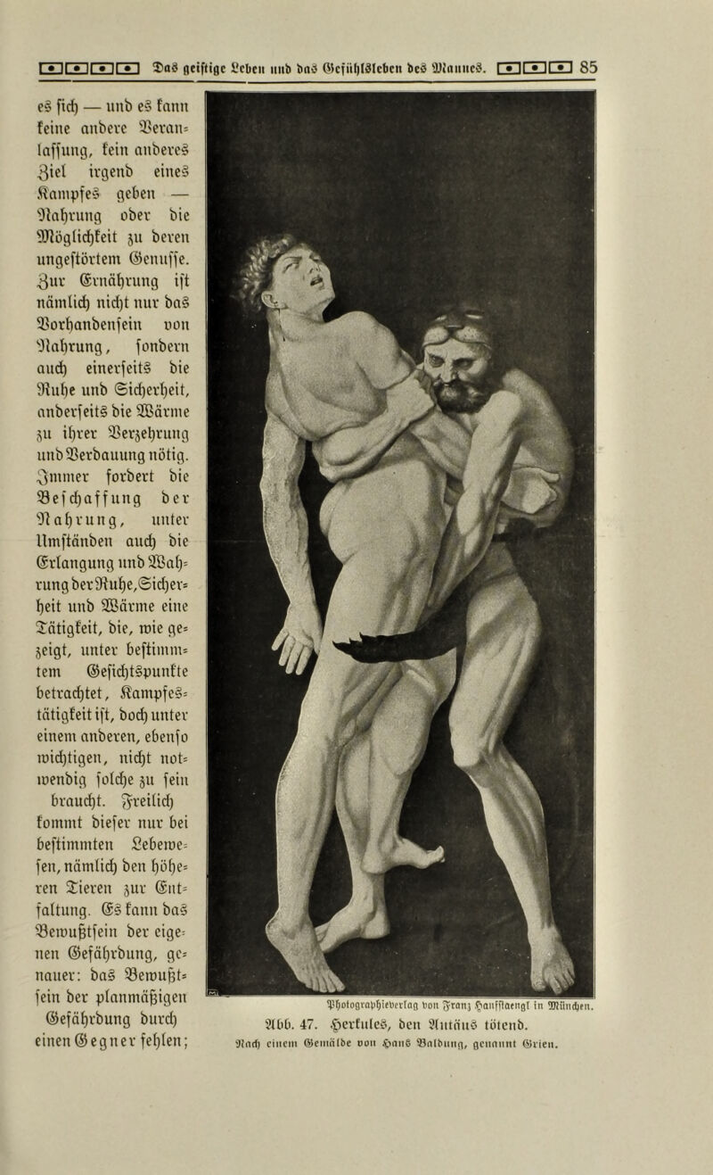 e§ fid) — iinb e§ tann feine anbere 3>evan= laffung, fein anbeve§ 3iel ivgenb eine§ ^fainpfe? geben — ^}k^viing über bic ^Jfögüd^feit 511 beven nngeftörtem ©ennffe. 3uv ©vnä^vung ift nämlid) nid)t nur bn§ 33otbanbenjein non 'Oial)rung, fonbevn and) einerfeitS bie 9hif)c unb ©id)er^eit, anbevfeit§ bie SOBävme Sn il)ver 93erjebrung nnbSSerbauung nötig. 3nuner forbert bie 59ef d)af f iing ber 'Ola^vung, unter Umftänben and) bie ©riangung nnb 3ÖaI)= rungber9^u^e,@id)er* f)eit nnb Sßärme eine J^ätigfeit, bie, roie ge» jeigt, unter beftiinm» tem ®e[id)t§punfte betrachtet, i?ampfe§» tätigfeit i[t, bo(^ unter einem anberen, ebenfo roid)tigen, nid^t not» menbig jotche 311 fein braucht, fyreitid) fommt biefer nur bei beftimmten Seberoe» fen, nämlich ben höhe» ren stieren jur @111» faltung. fann ba§ ^erou^tfein ber eige= neu ©efährbung, gc» nauer: ba§ ^eroufet» fein ber planmäßigen ©efährbung burd) einen@egner fehlen; ipr;oto3va))f)ieDcrra3 ton Srrans .fiaiifflatnst in 'üüincljen. 5tt)t). 47. .^crfule8, bcn Stutnuö tötcnb. Sinri) einem ©emiiibe oon ^nii6 iBnlbimn, ßciinnnt ©vieii.